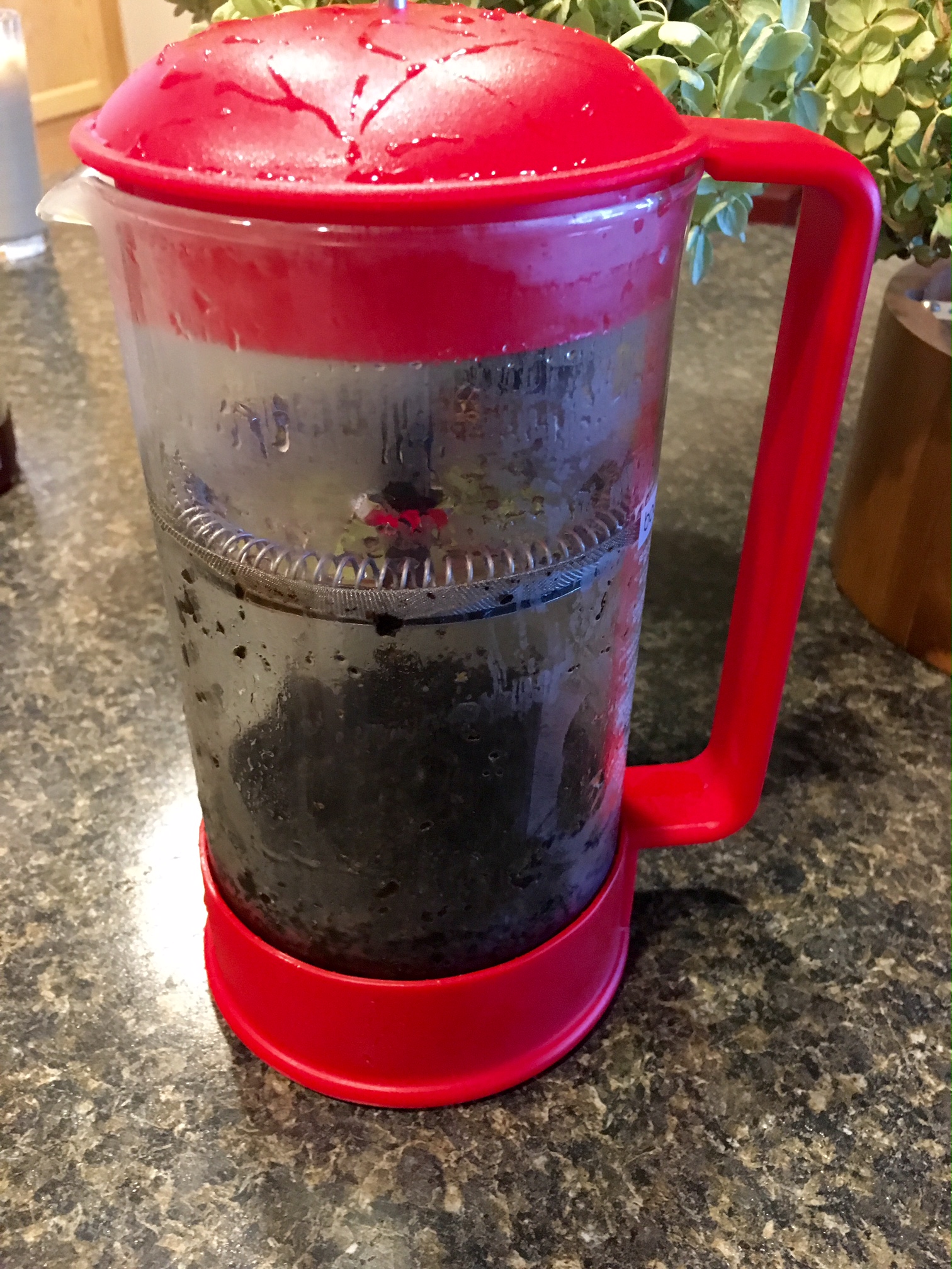 Cleaning a French Press 4 Steps Instructables