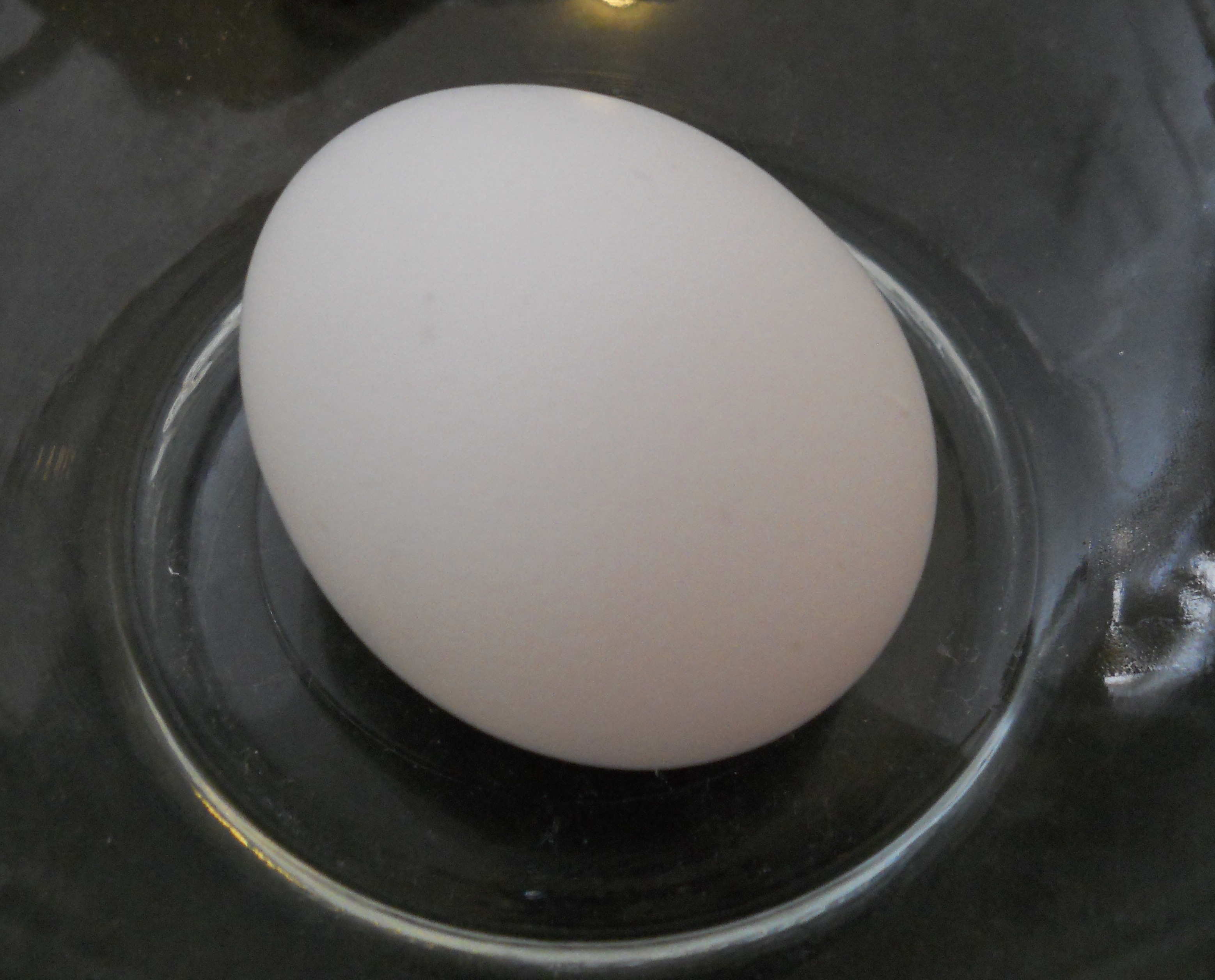 Removing Eggshell Bits From Eggs (with Pictures) Instructables