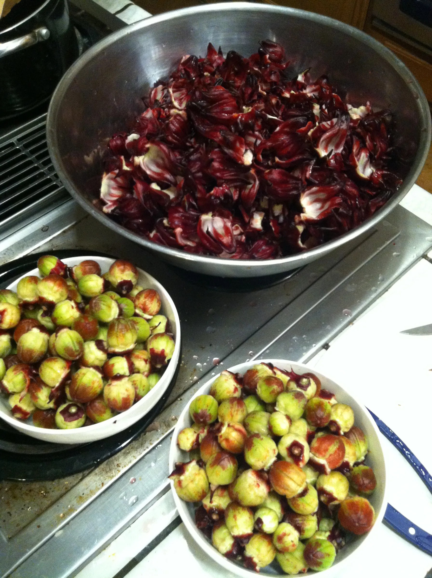Roselle Syrup for Drinks! 5 Steps (with Pictures) Instructables