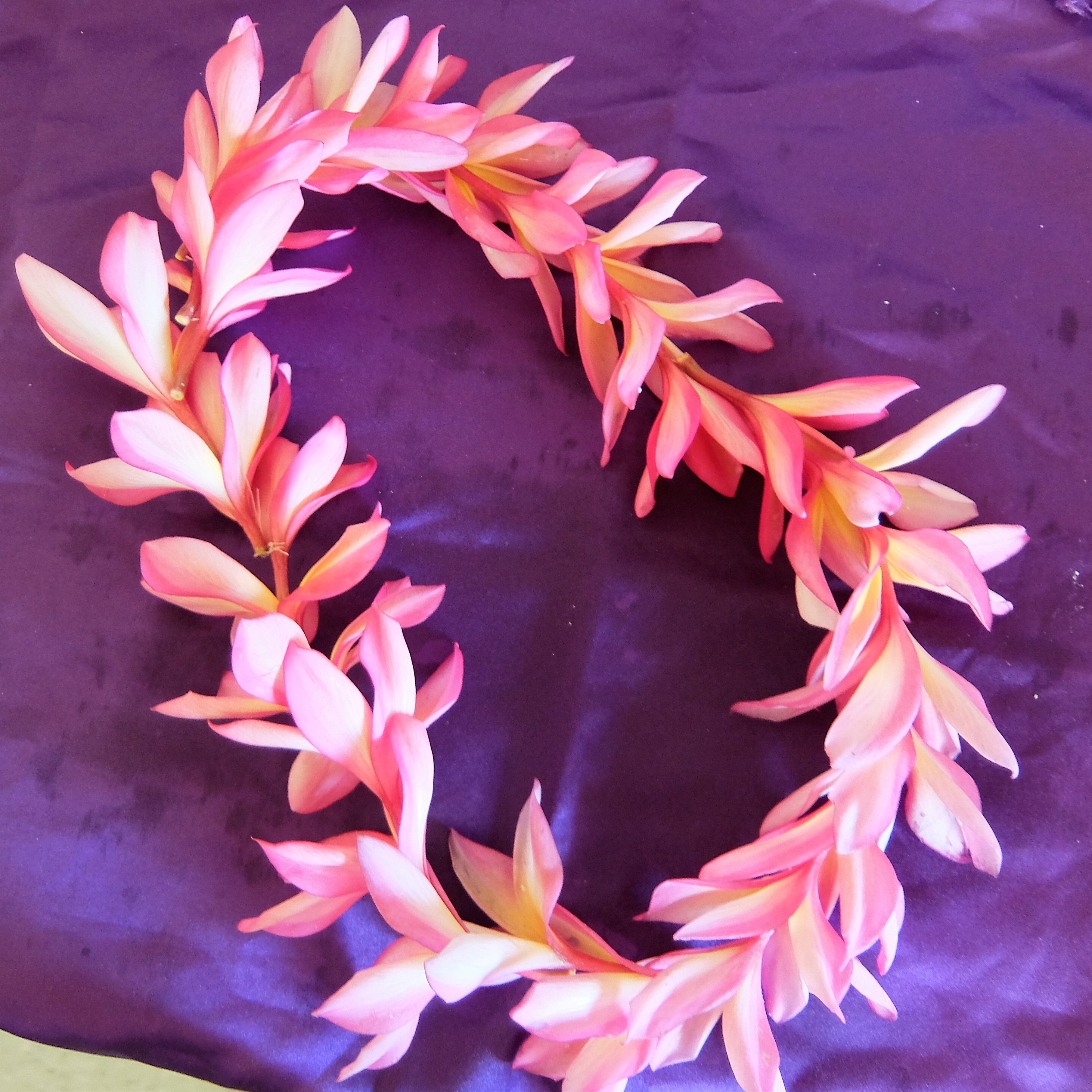 How to Make Hawaiian Lei Garland Plumeria Flower 4 Steps (with