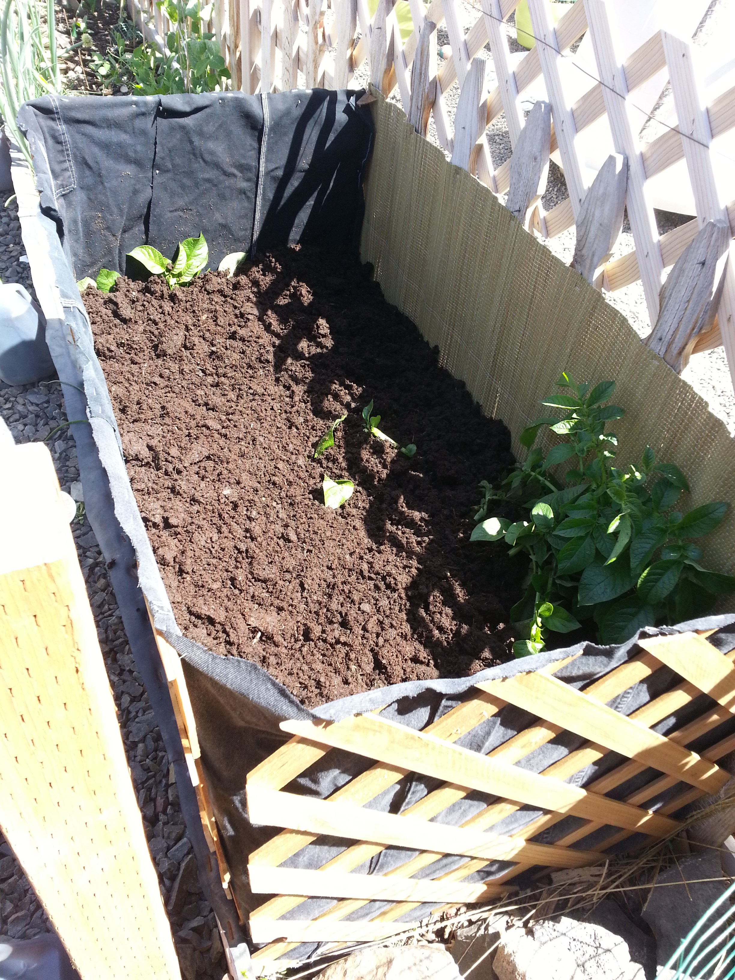 Potato Raised Bed 6 Steps (with Pictures) Instructables