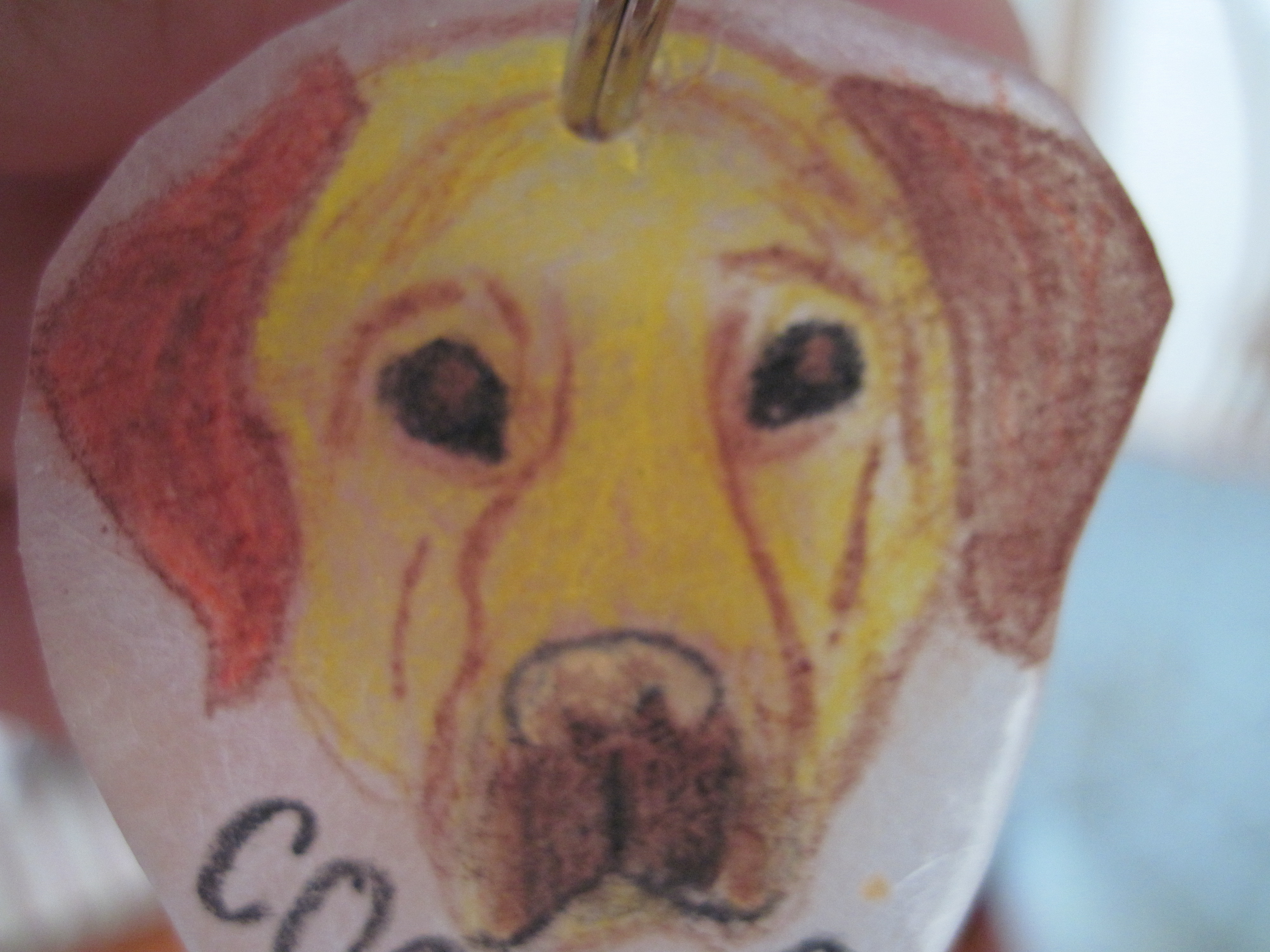 Pet Tags! 4 Steps Instructables