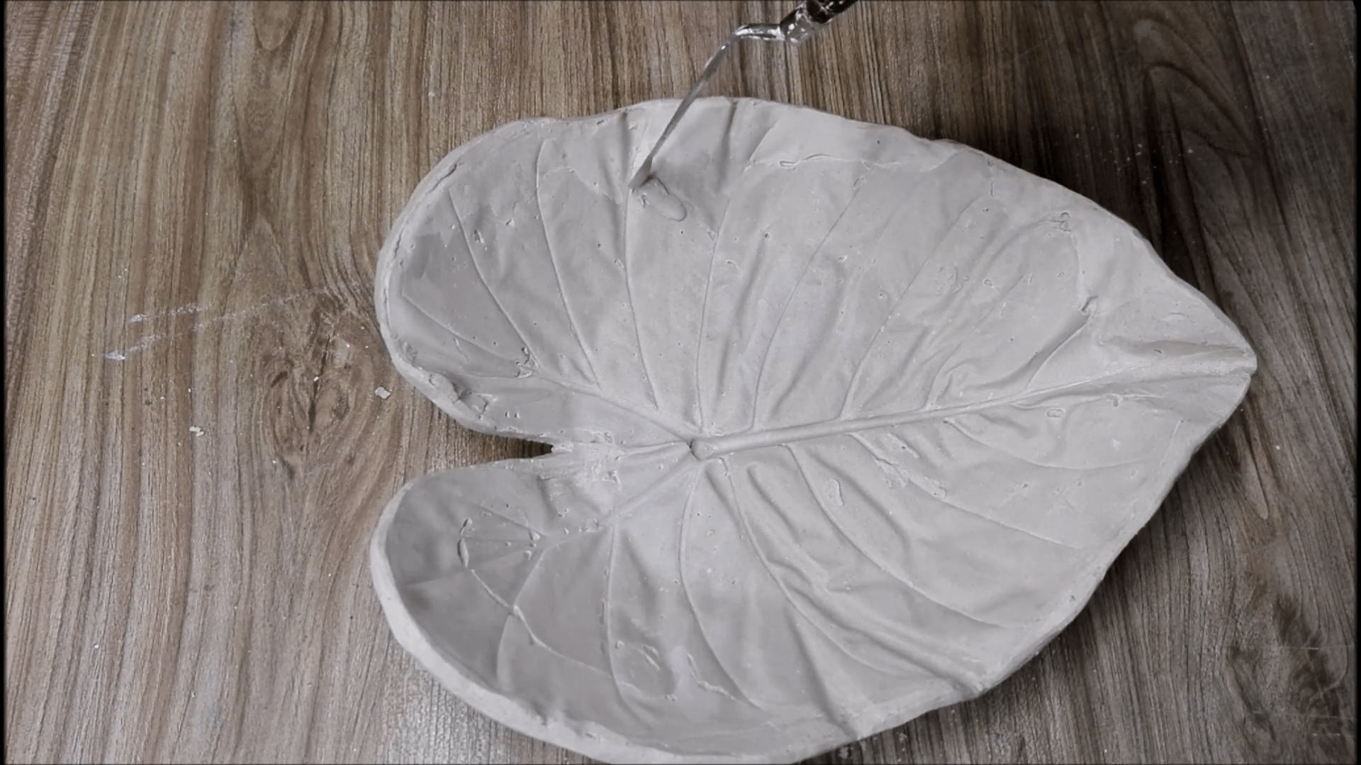 How to Make Concrete Leaf Casting Bowl Elephant Ear Cement Leaf