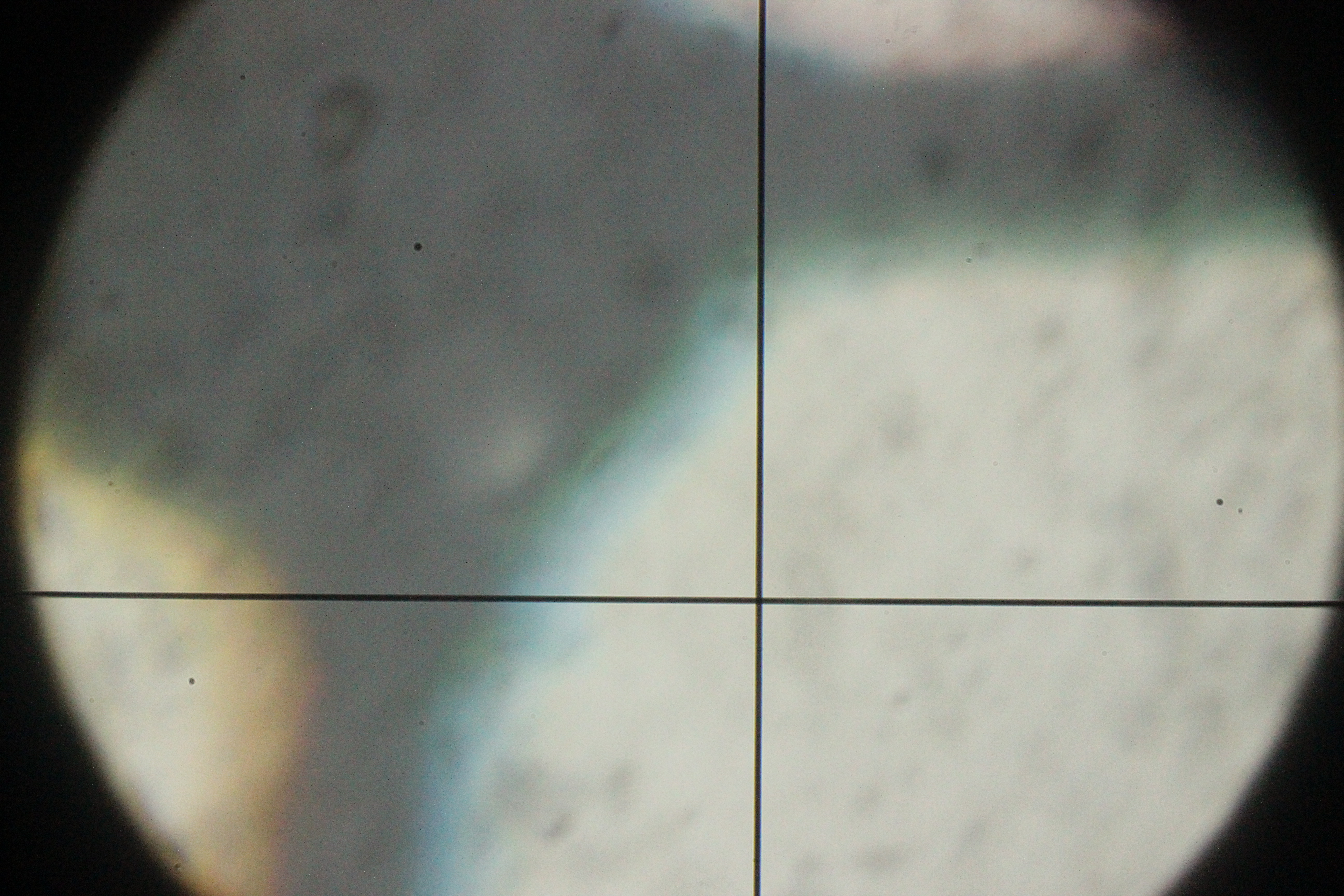 Kitchen Table Binocular Collimation 6 Steps (with Pictures