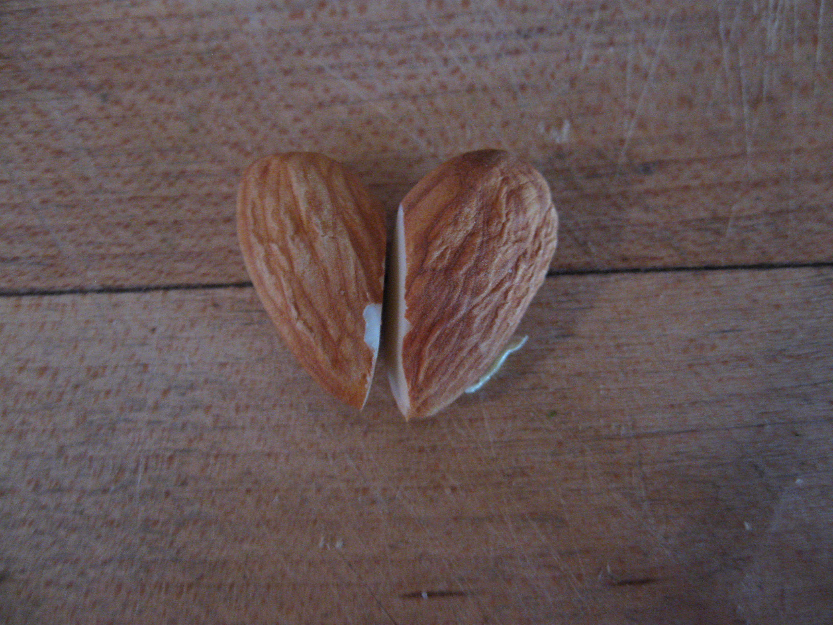 Chocolate Almond Hearts 6 Steps (with Pictures) Instructables