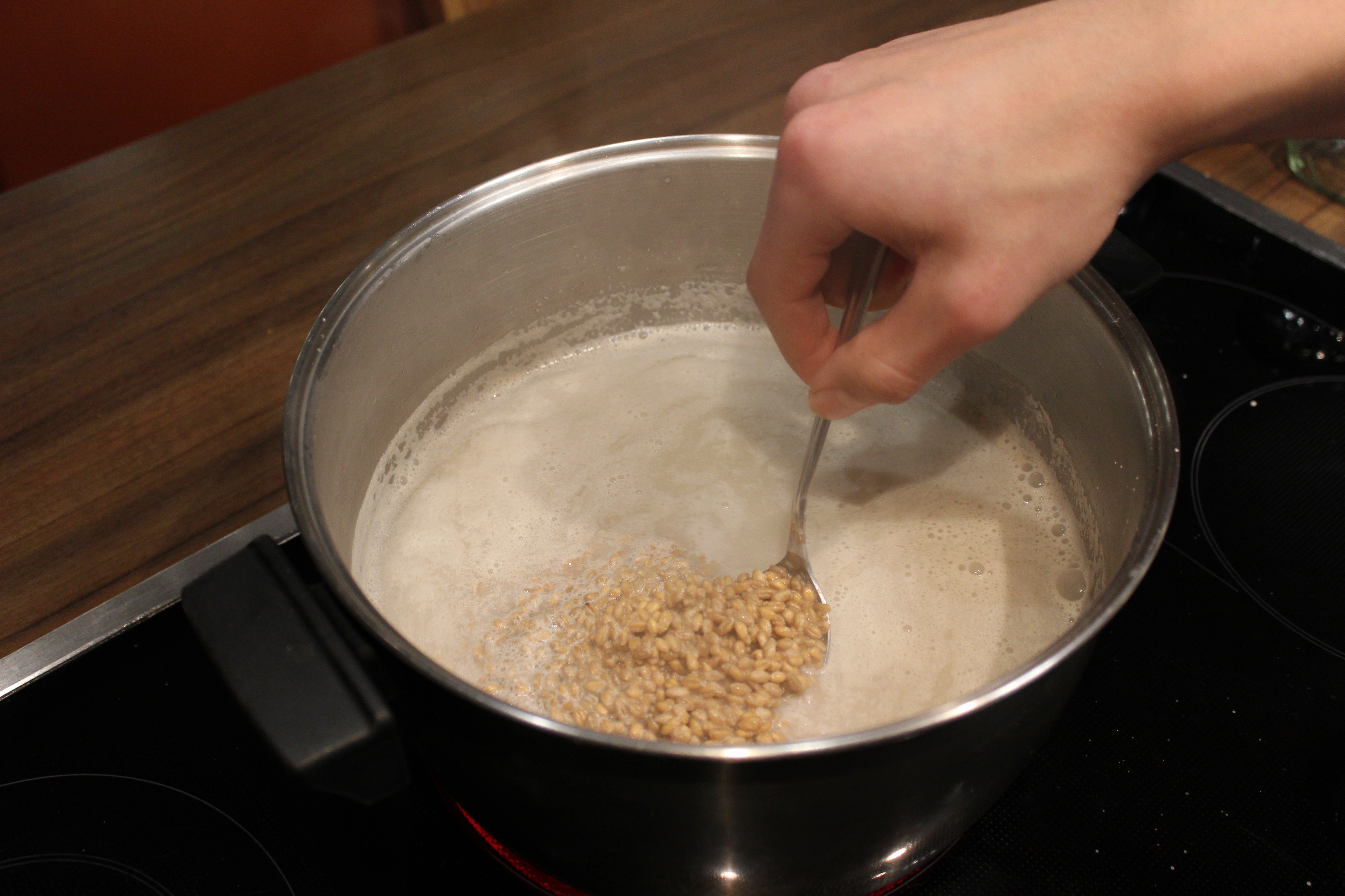 How to Easily Reproduce / Grow Mushroom Spawn. 3 Steps Instructables