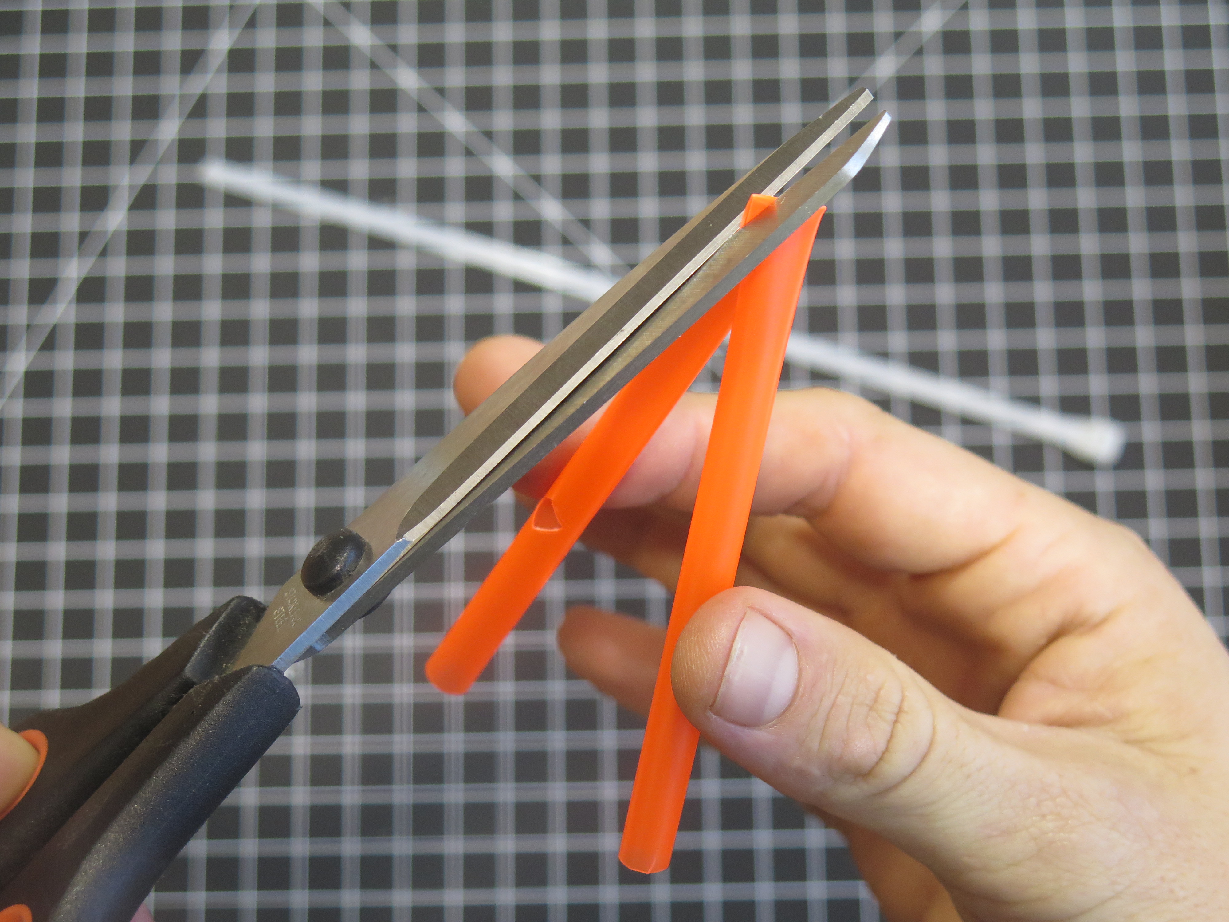 Chicken Foot Dissection 7 Steps Instructables