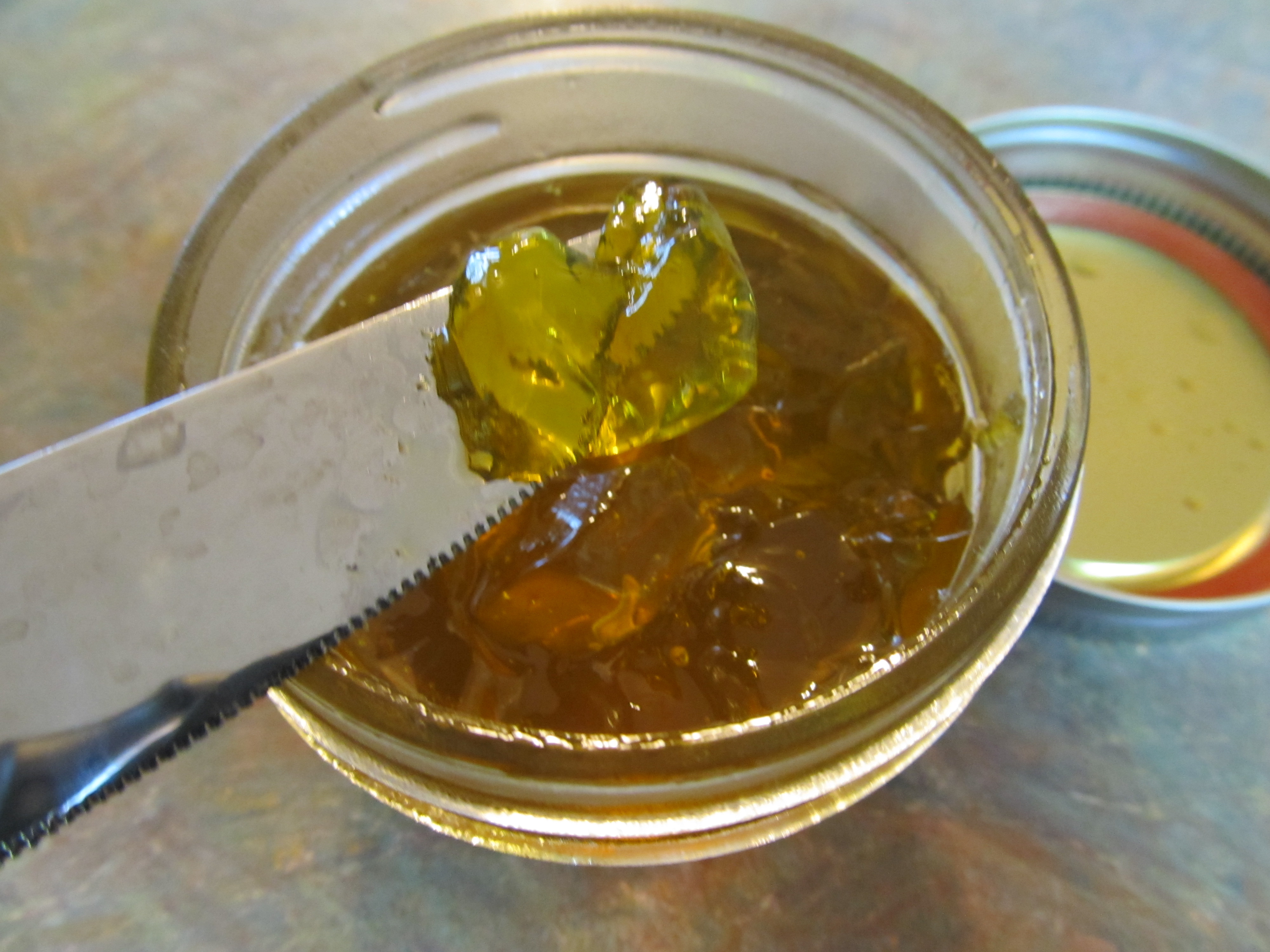 Harvest Your Dandelions! : 6 Steps (with Pictures) - Instructables