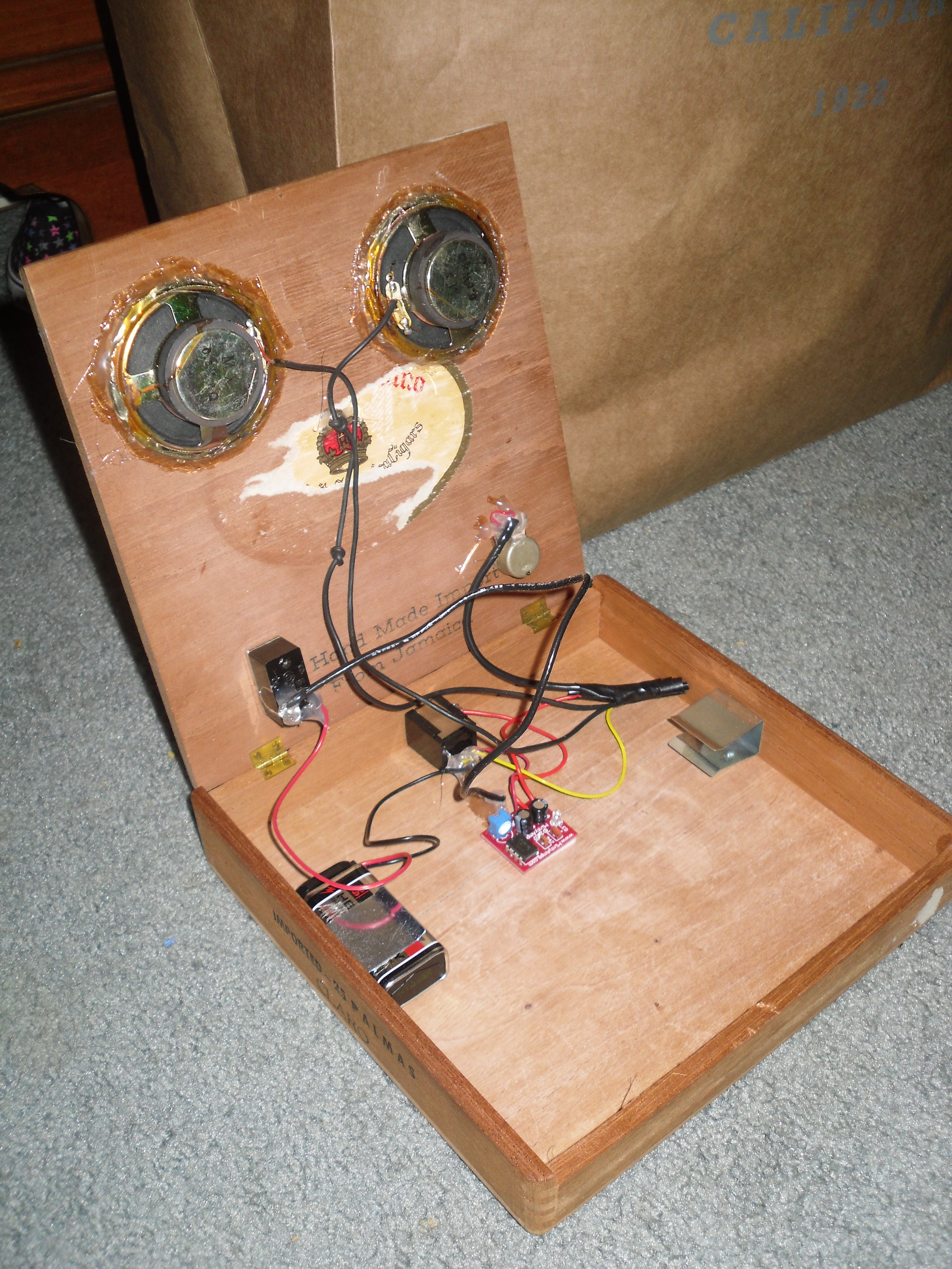 BatteryPowered Cigar Box Guitar Amp 5 Steps Instructables