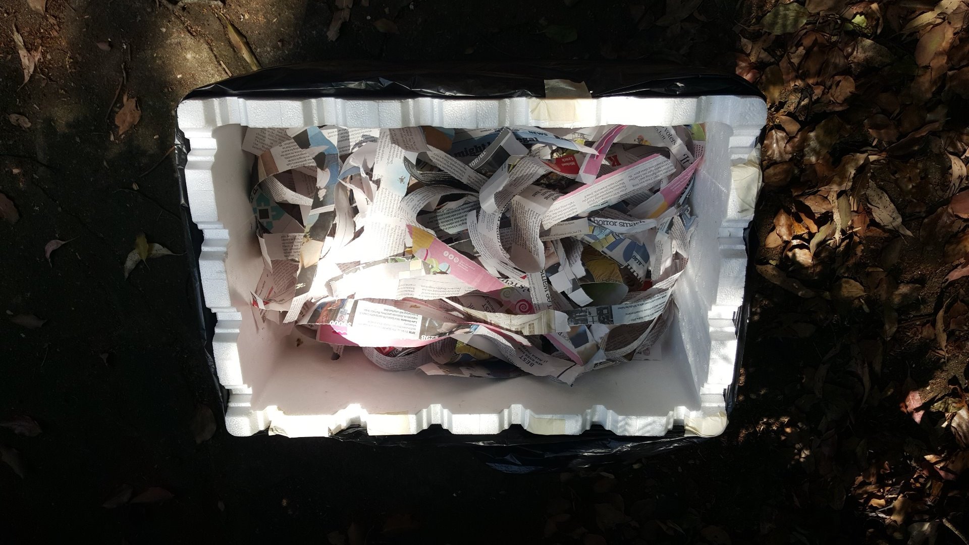 How to Make a DIY Wormbin 5 Steps Instructables