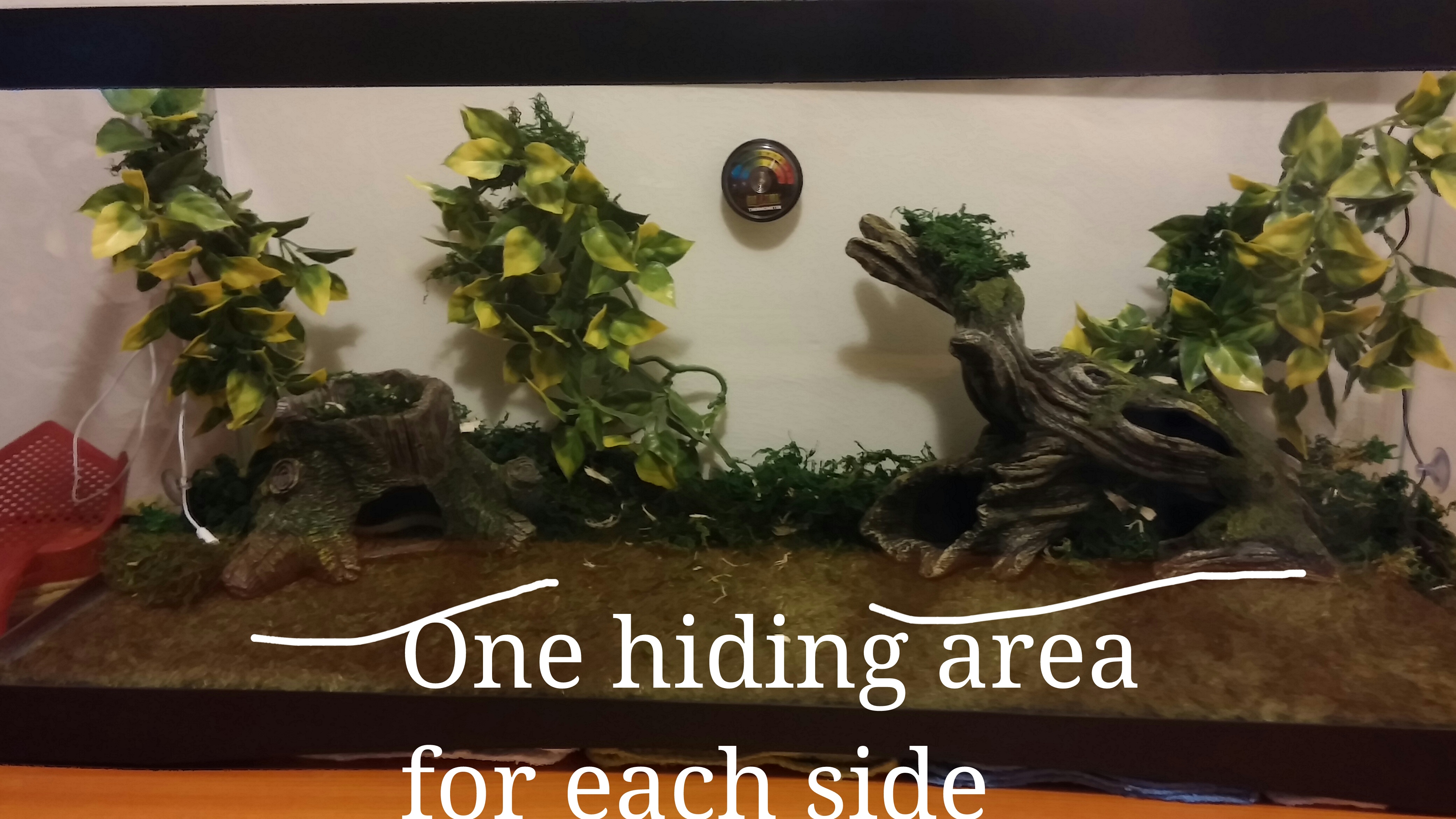 How to Set Up a Reptile Terrarium 8 Steps (with Pictures) Instructables