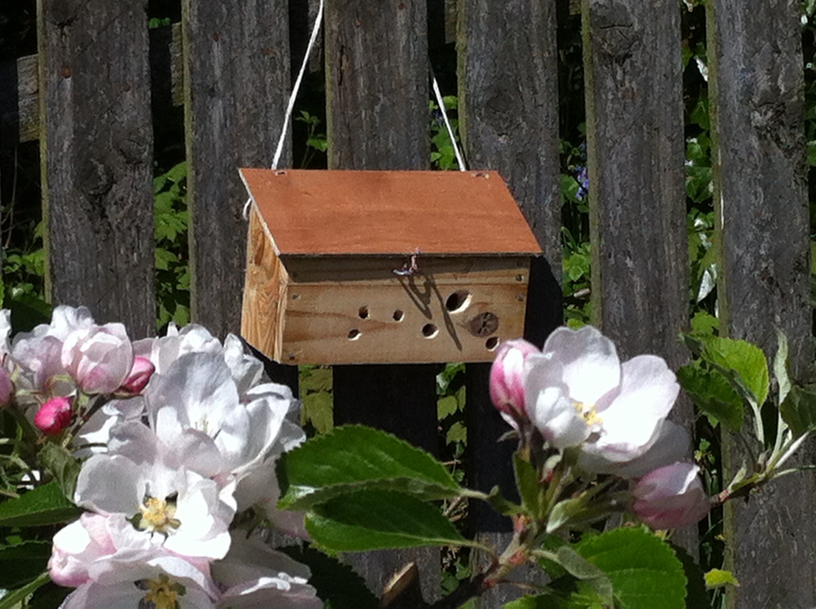 Reclaimed Wood Bee Box 10 Steps (with Pictures) Instructables