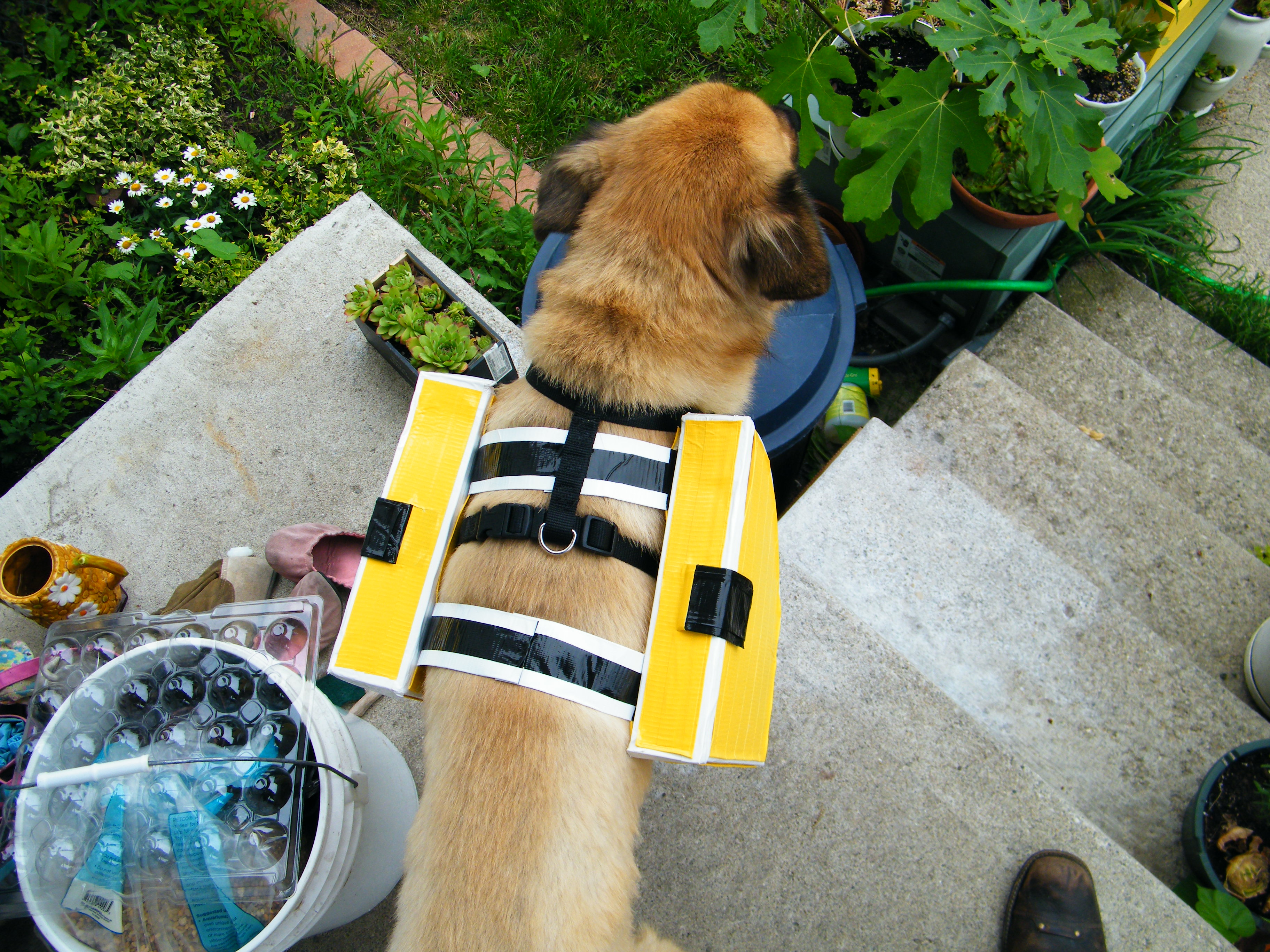 Duct Tape Dog Panniers (with Pictures) Instructables