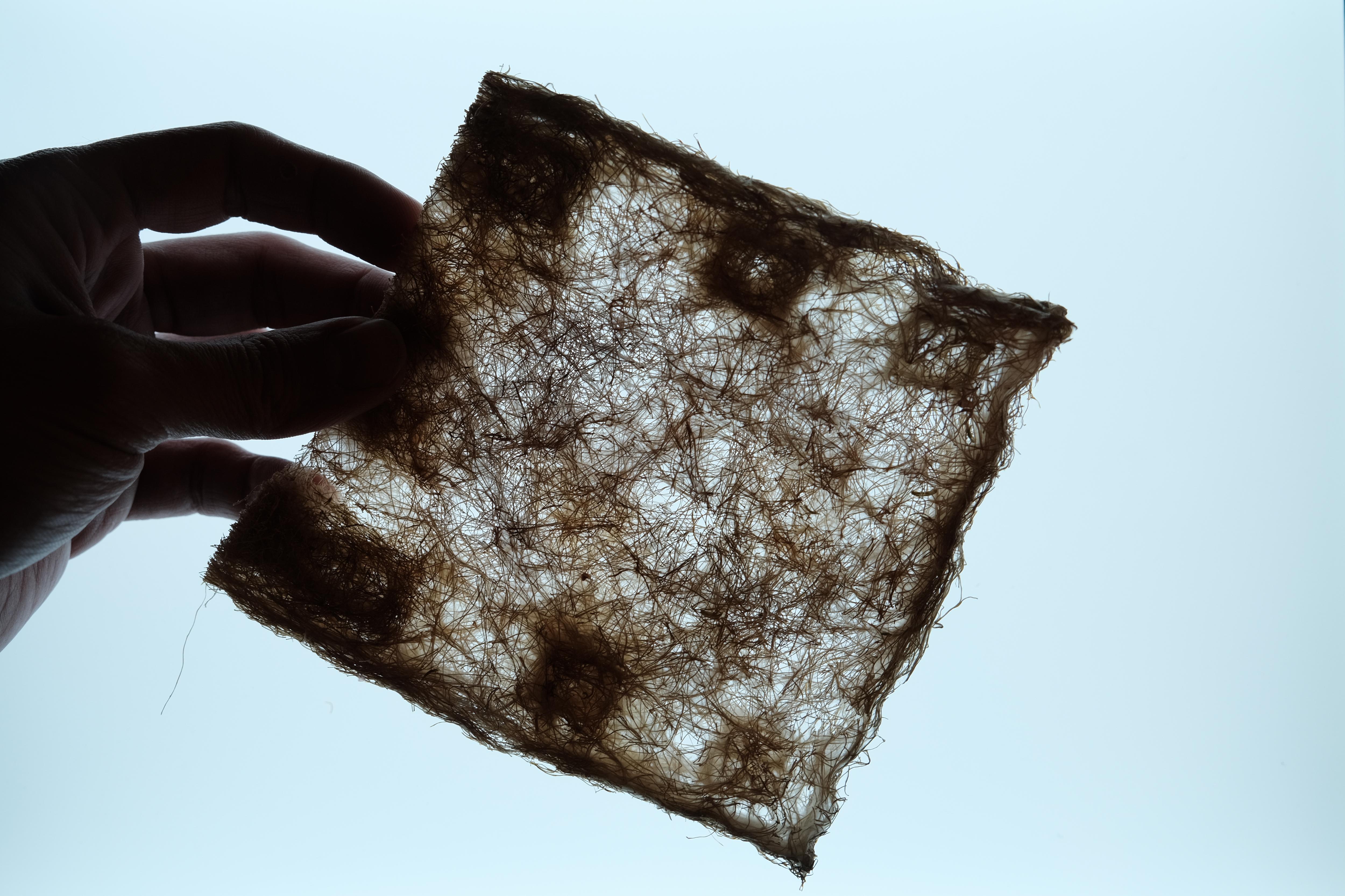 Make Wheatgrass Root Mats 6 Steps (with Pictures) Instructables