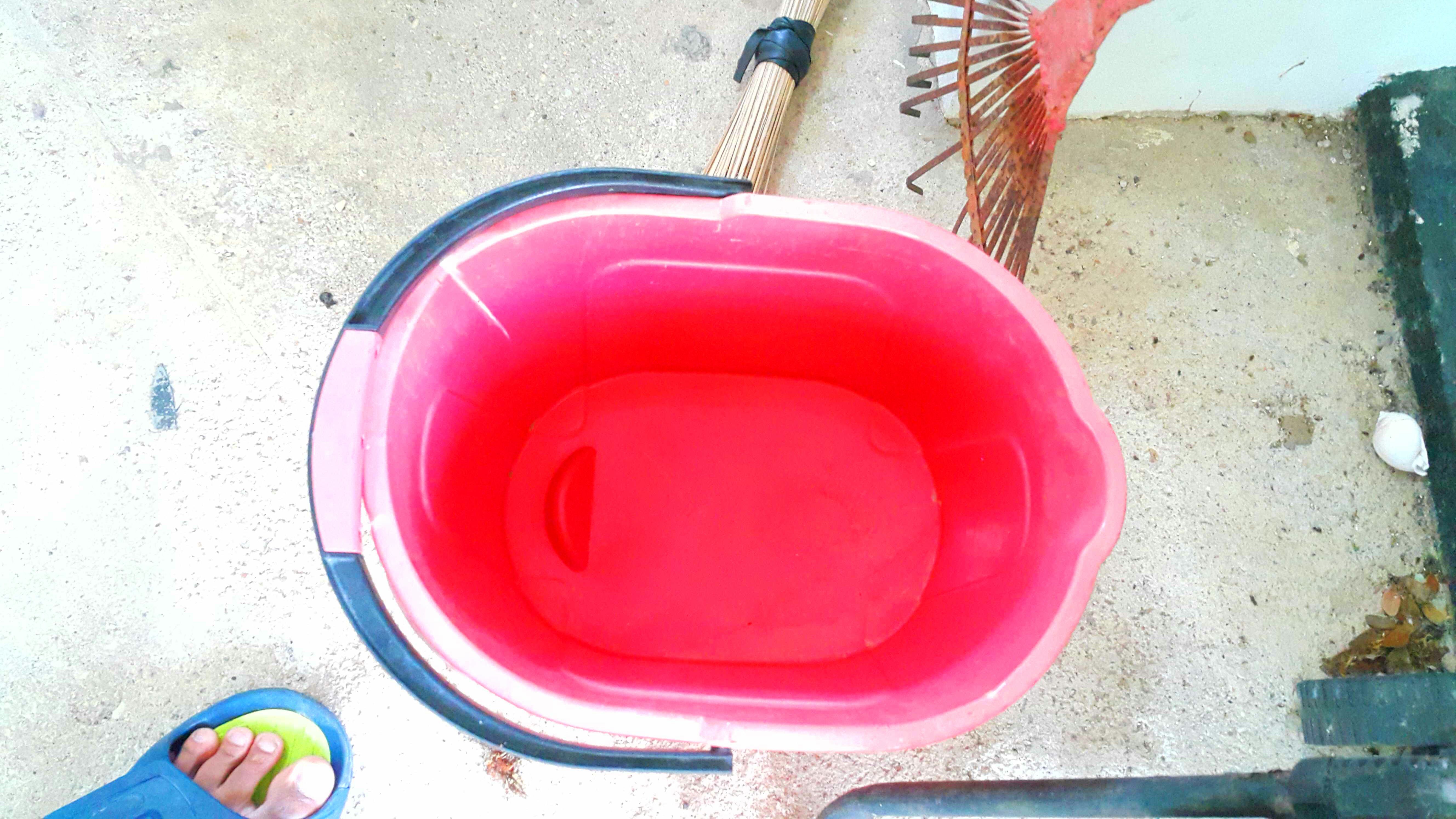 How to Kill Termites. 6 Steps (with Pictures) Instructables