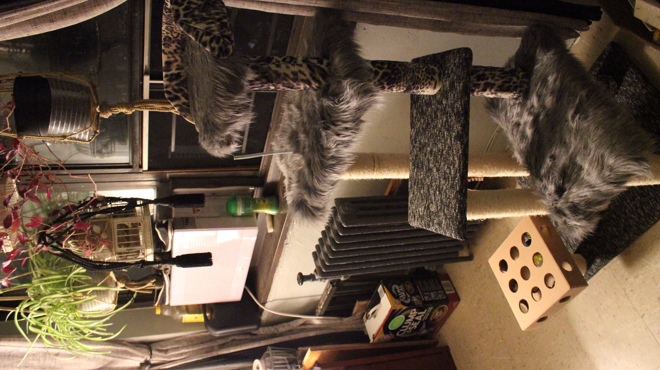 Kitty Condo Hack, From Blah...to Glam! 3 Steps (with Pictures