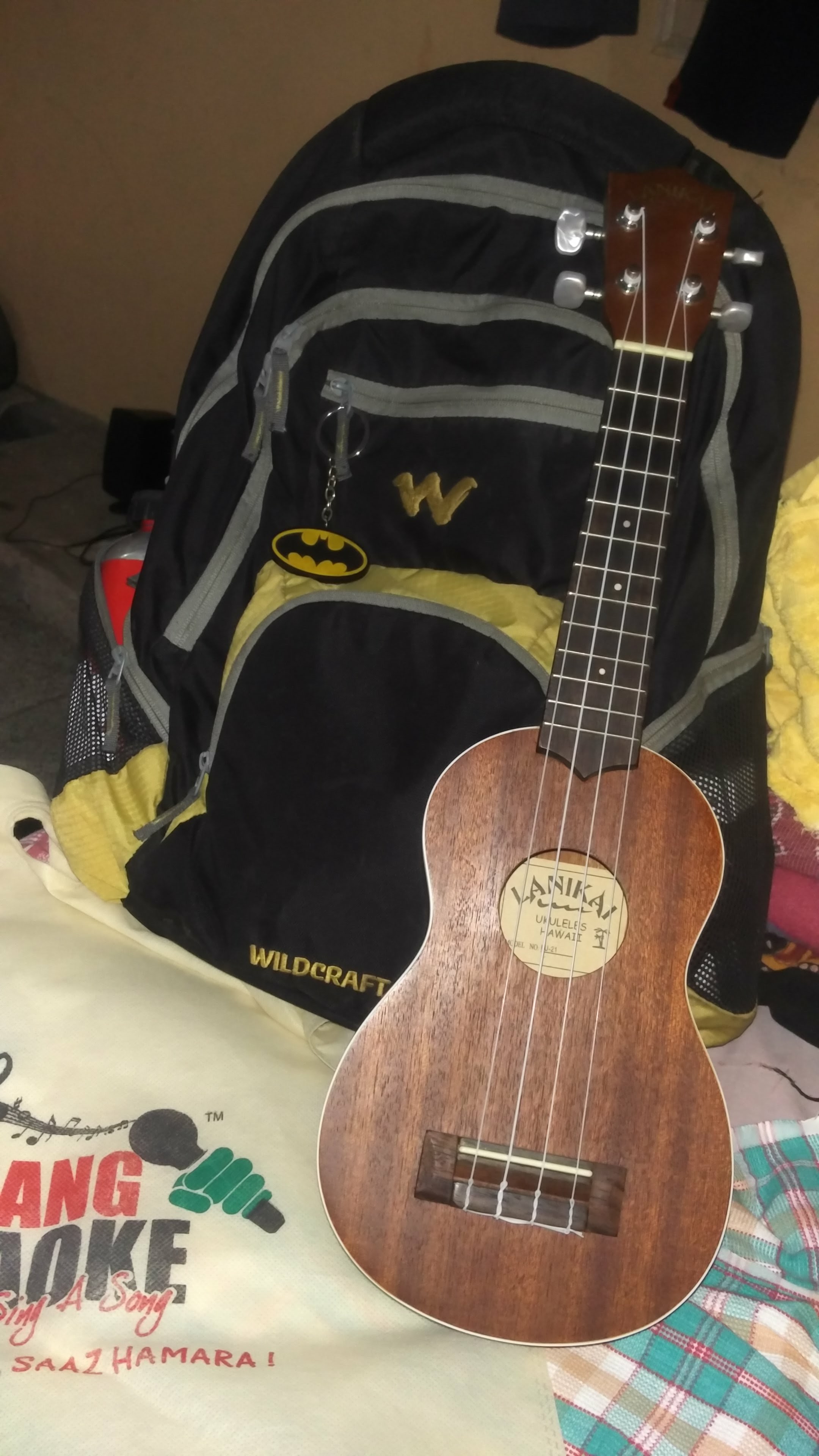 The Cardboard Ukulele Case 10 Steps (with Pictures) Instructables