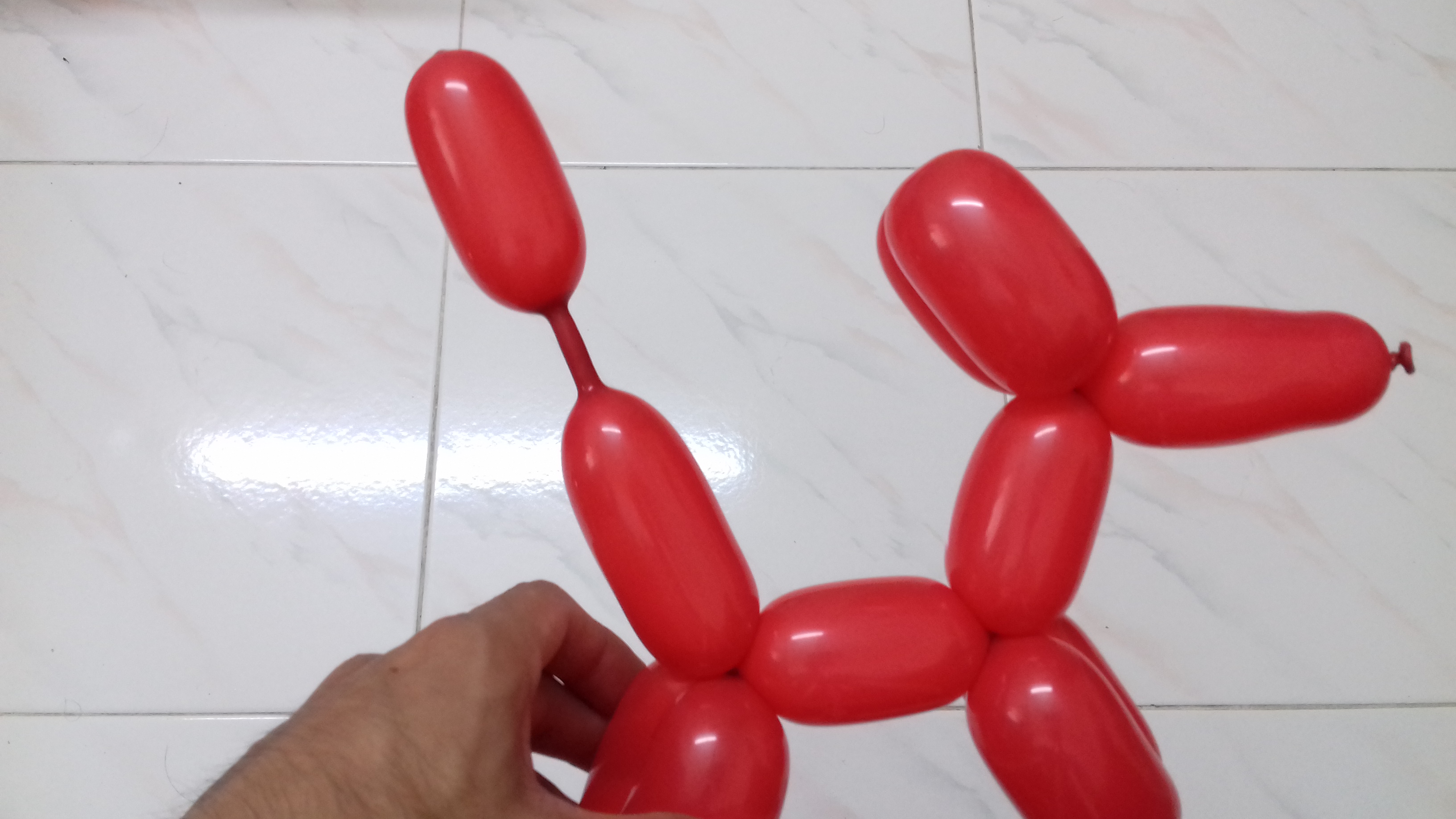 Balloon Twisting Dog 7 Steps (with Pictures) Instructables
