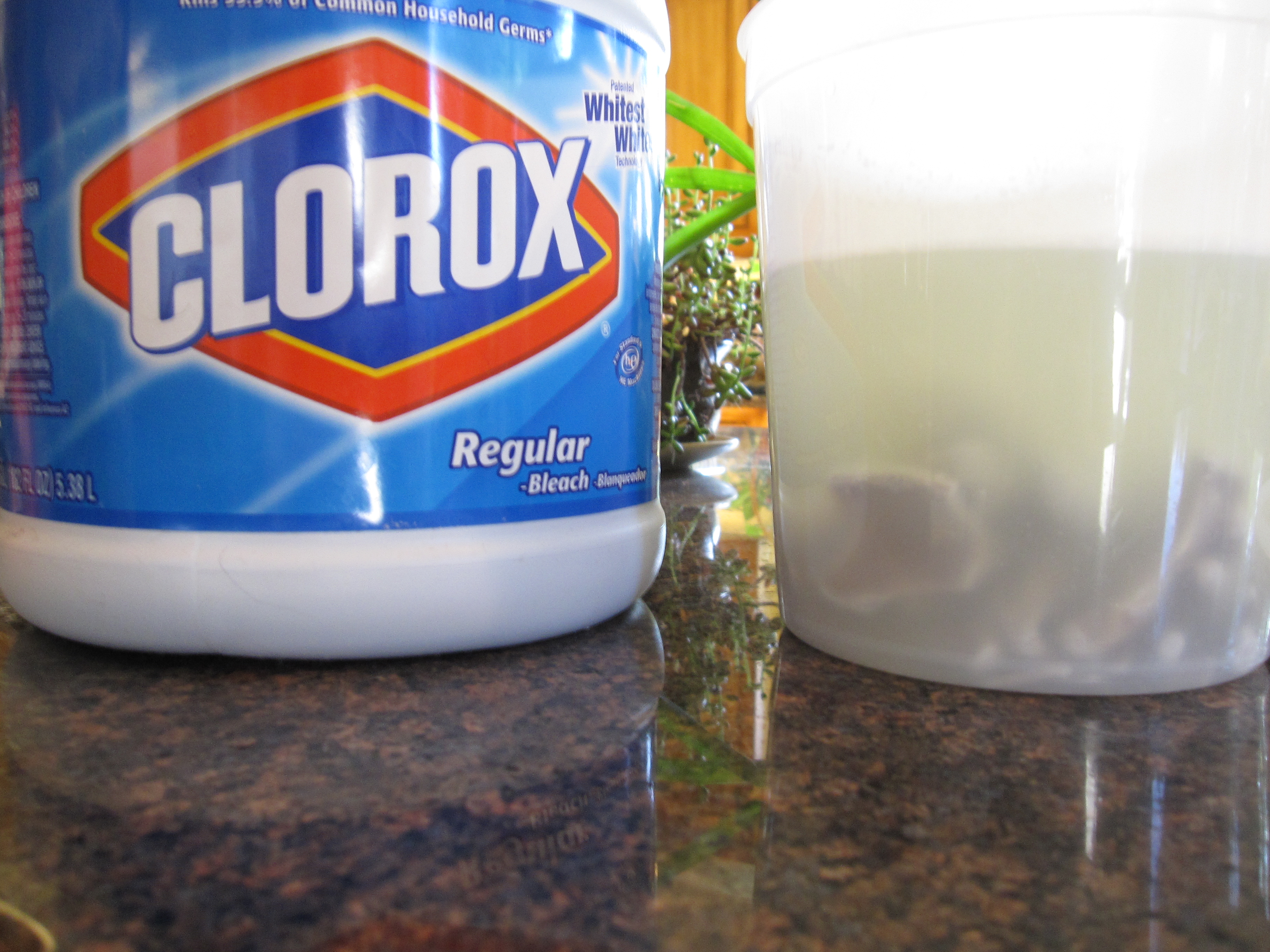 Sticks and Bones How to Make a Nightmare Catcher 9 Steps Instructables