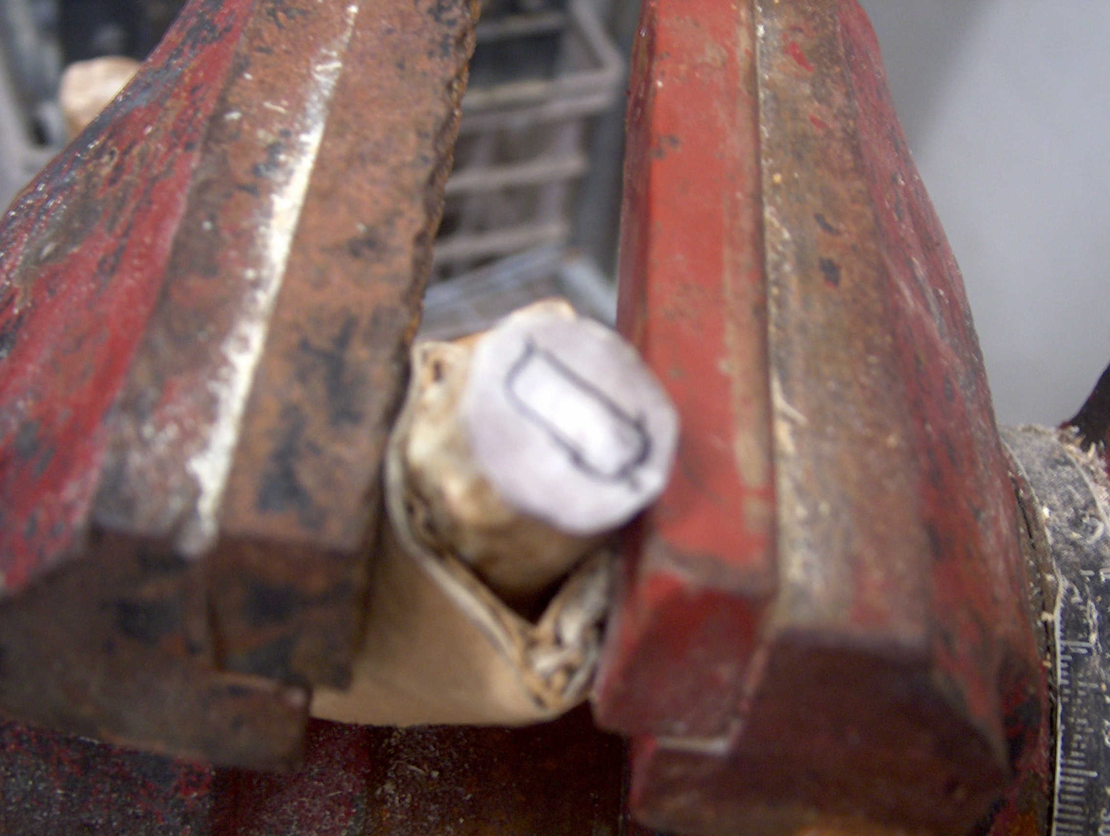 The Antler Drive. 4 Steps (with Pictures) Instructables