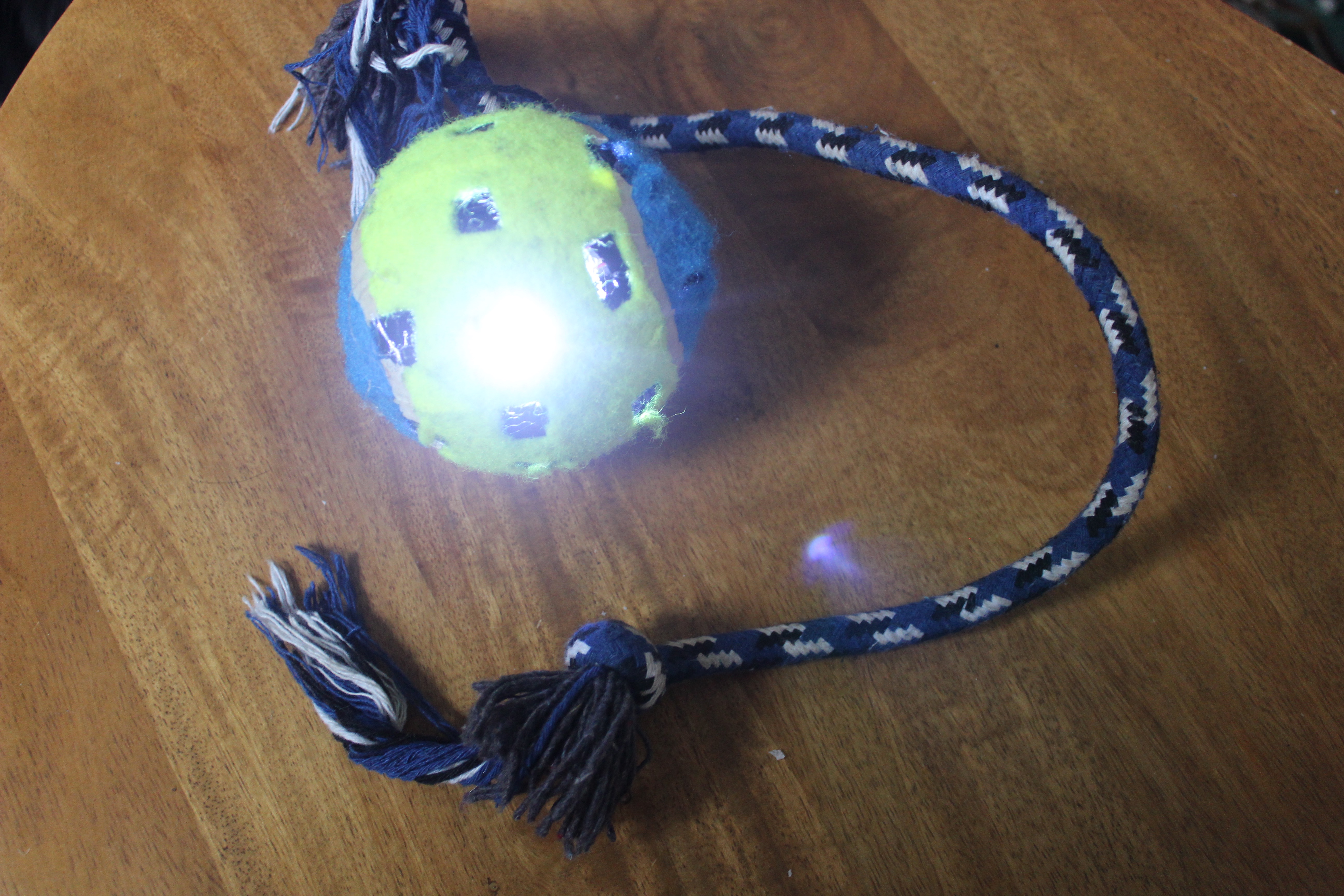3 Light Up Dog Toy 6 Steps (with Pictures) Instructables