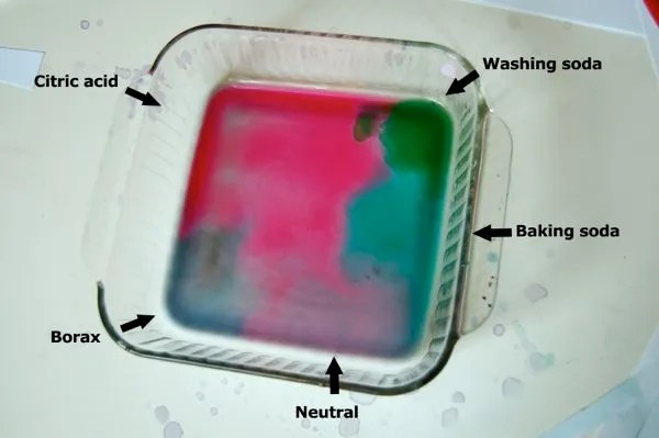 Easy Science Fair Project : 8 Steps (with Pictures) - Instructables