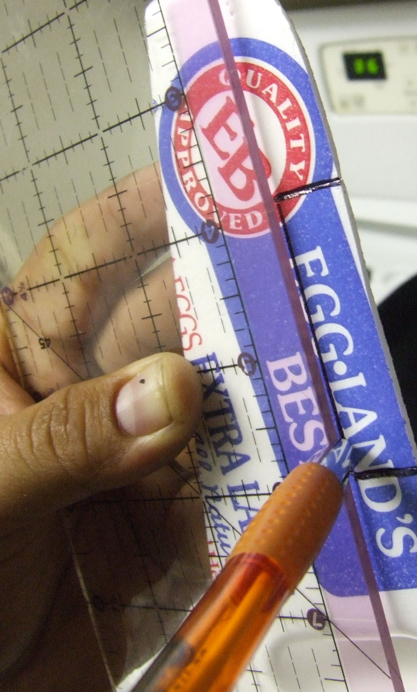 Black Hawk Egg Carton Glider 5 Steps (with Pictures) Instructables