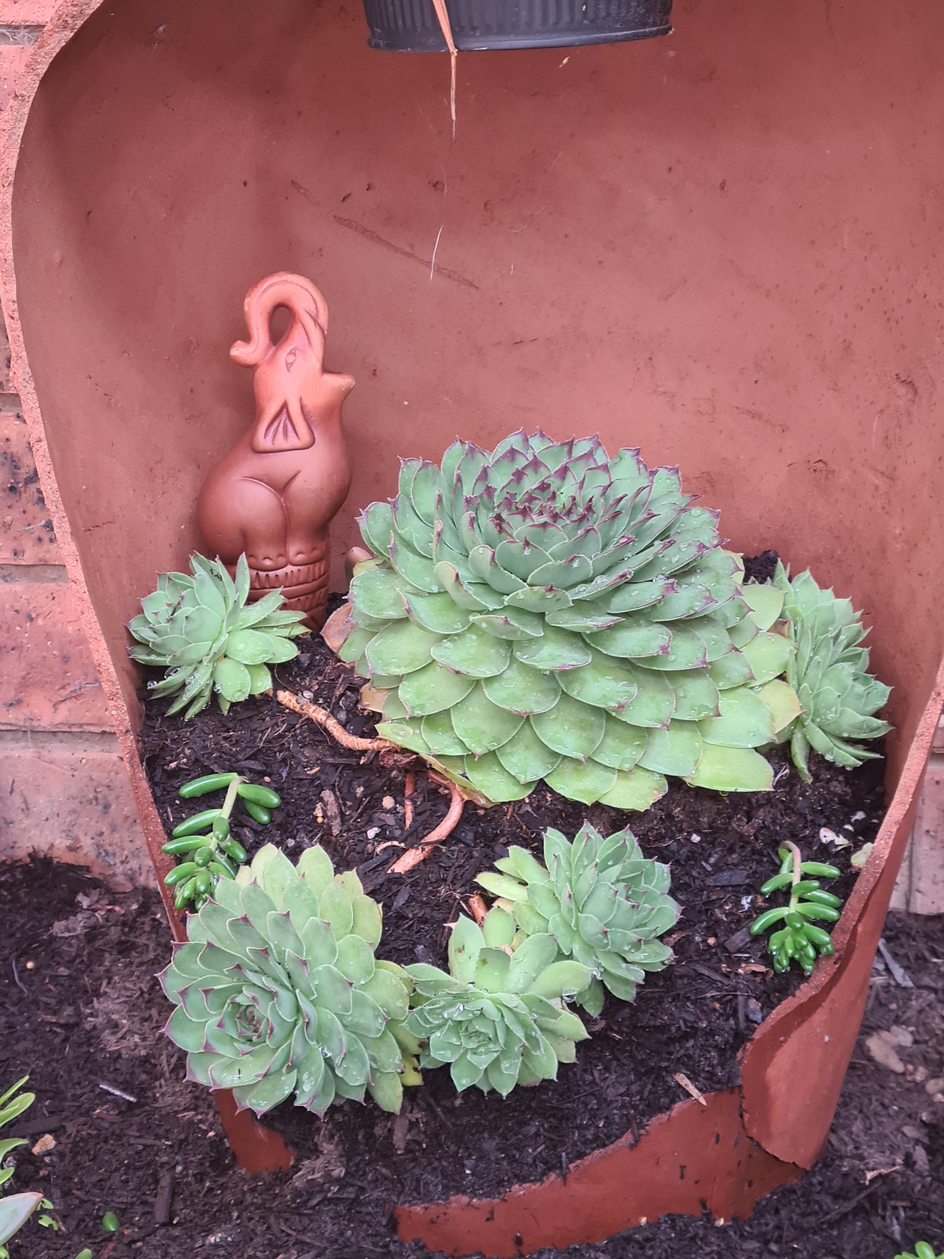 Broken Terracotta Pot Planter 7 Steps Instructables