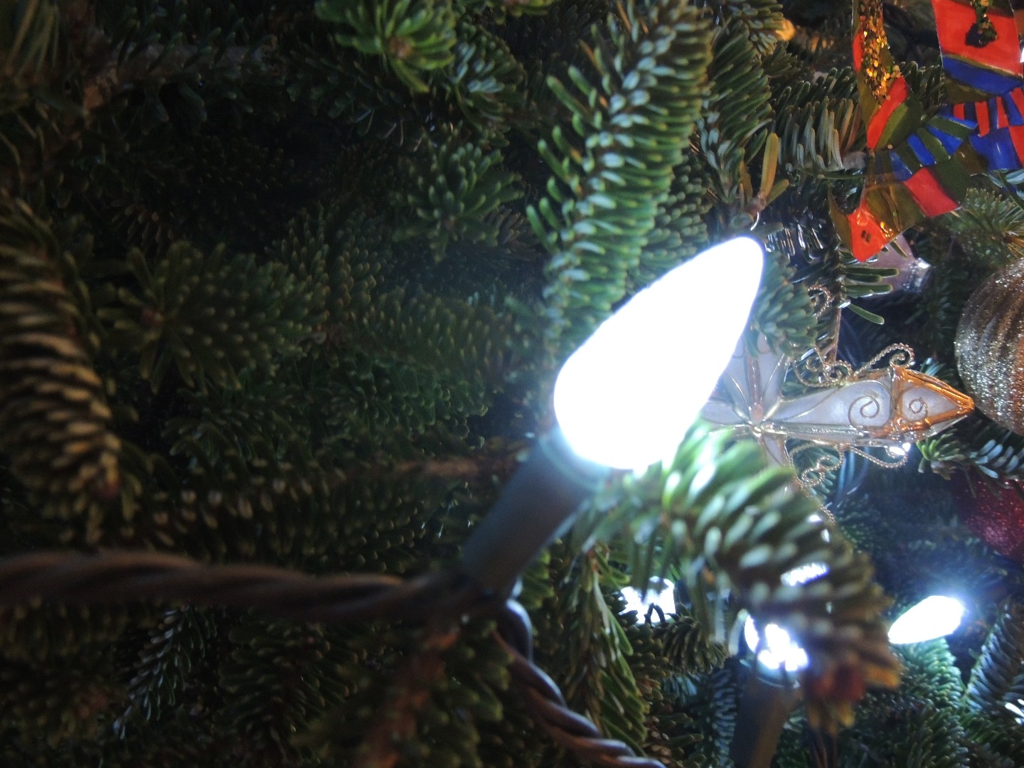 Long Lasting Christmas Tree 4 Steps (with Pictures) Instructables