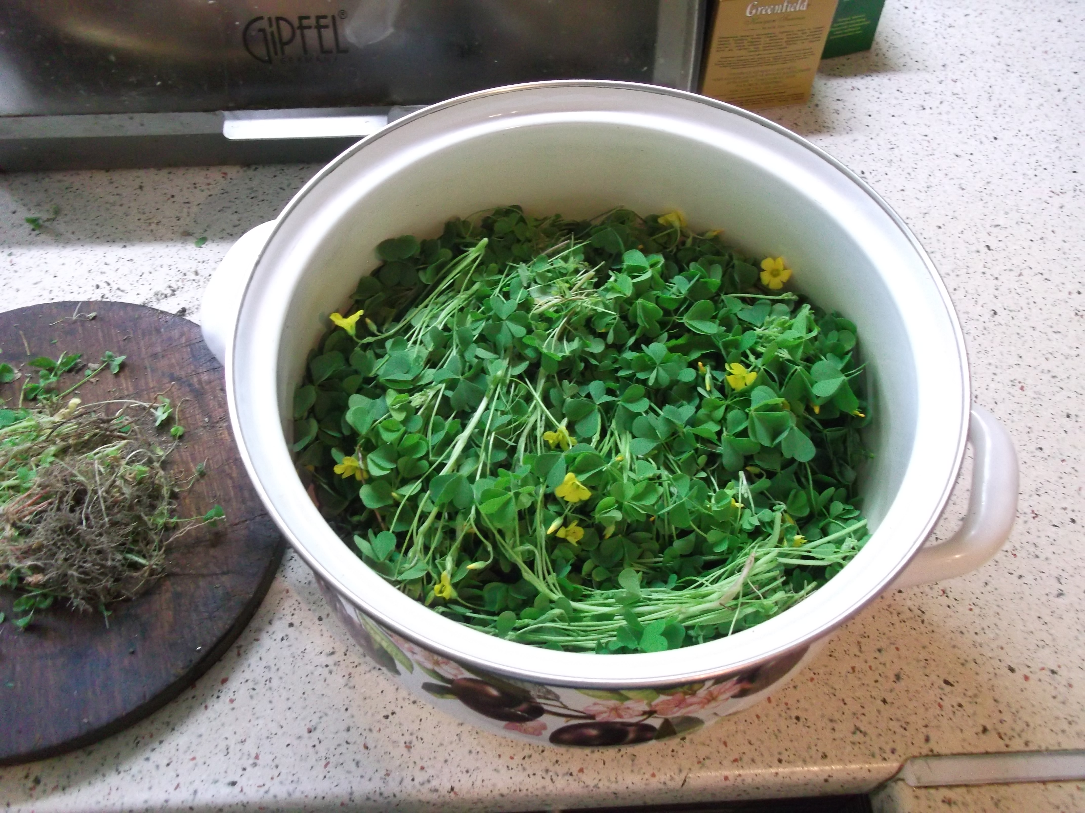 Refreshing Oxalis Kvas (NonAlcohol Fermented Carbonated Drink That Can