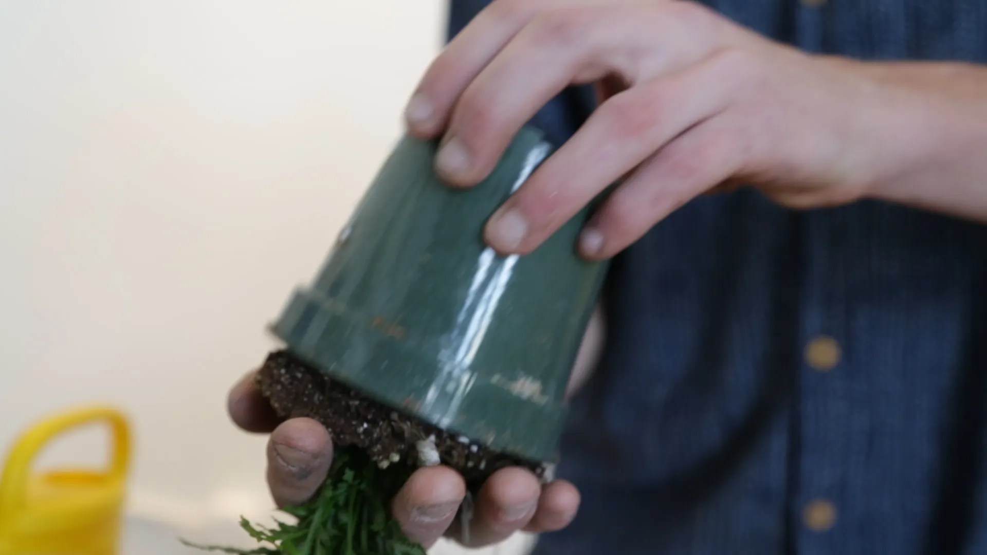 Toilet Garden 12 Steps (with Pictures) Instructables