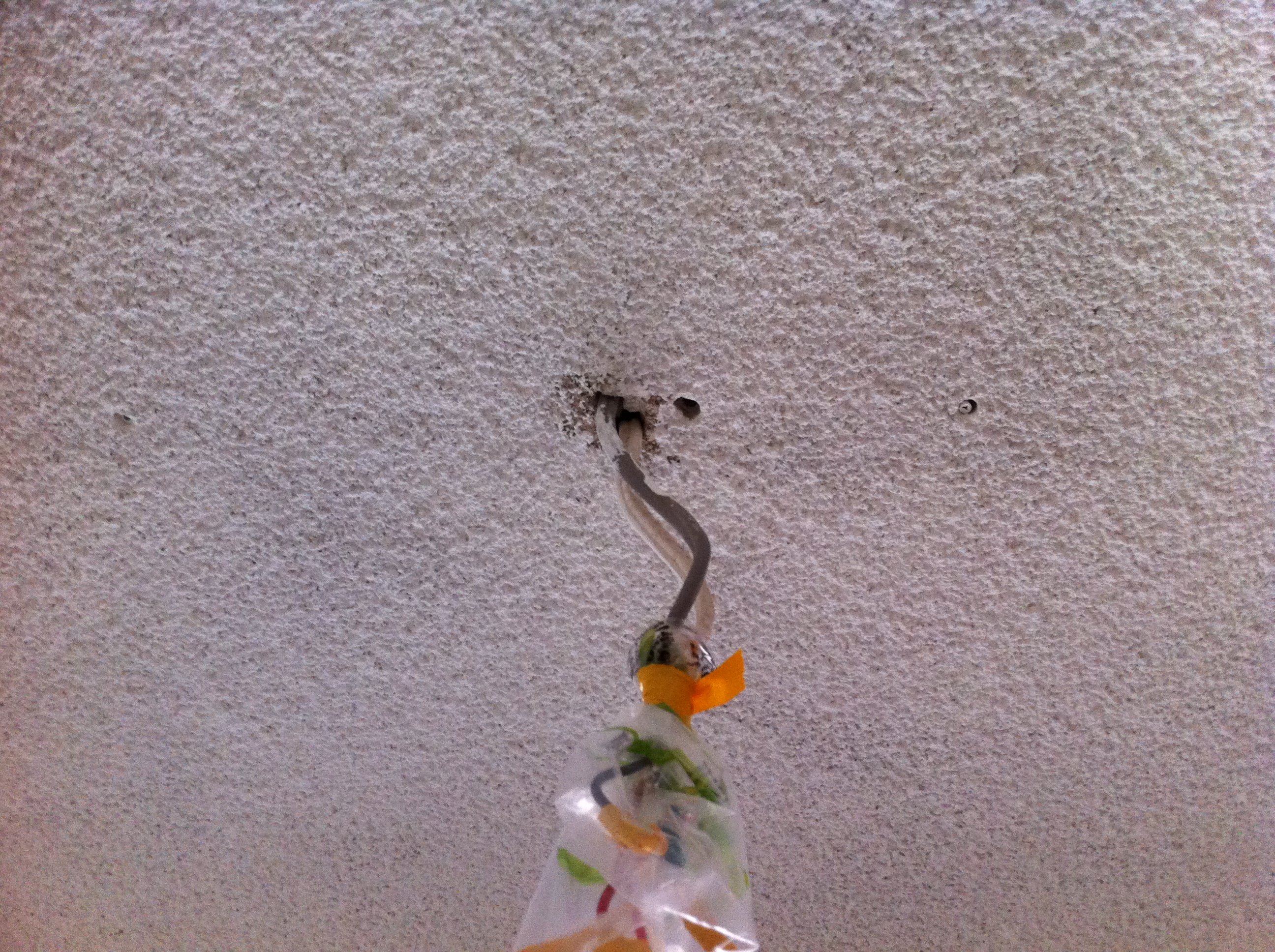 A Whiter, Brighter Vermiculite Ceiling Painting by Roller... 12