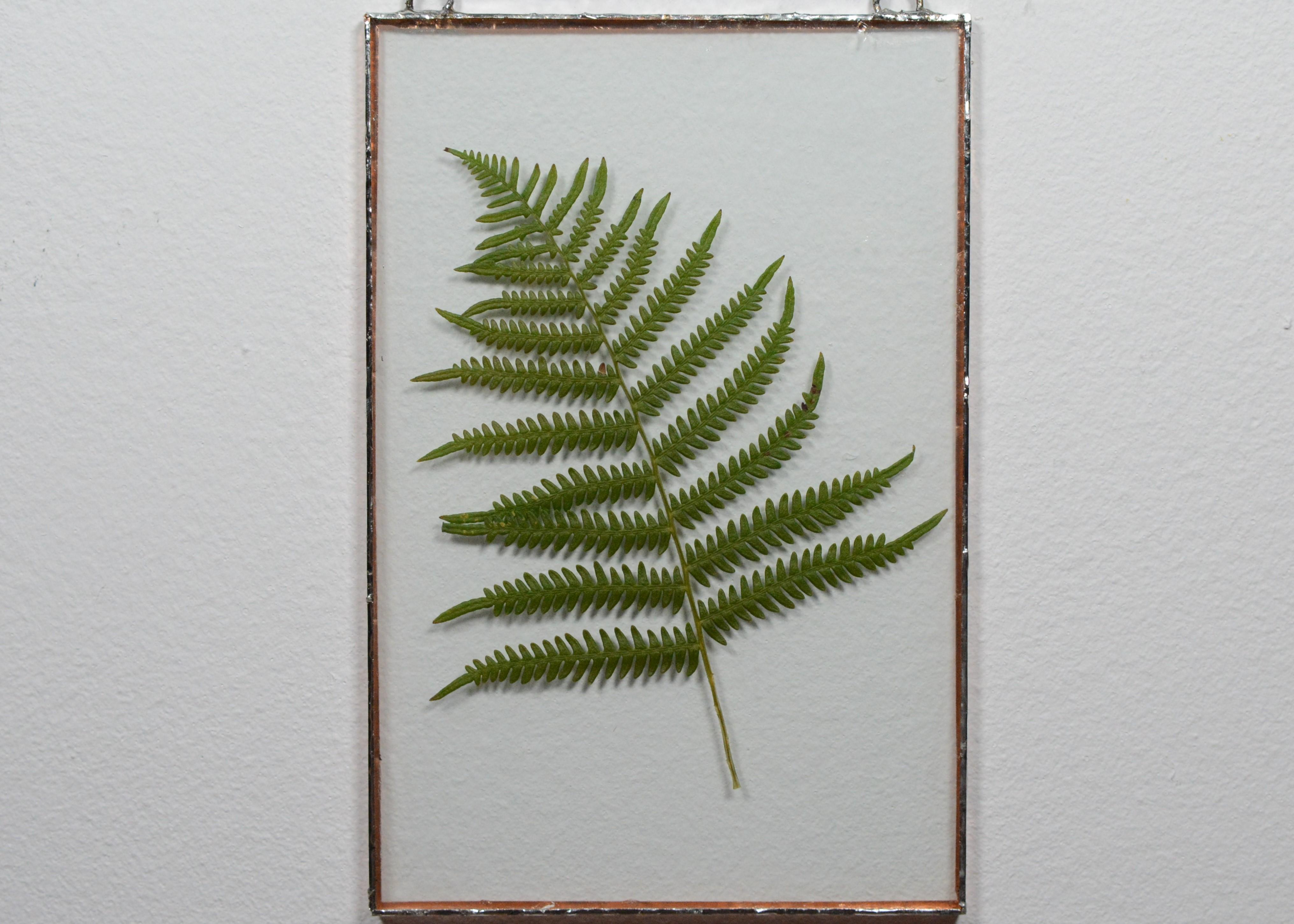 Pressed Flowers Wall Art 5 Steps (with Pictures) Instructables