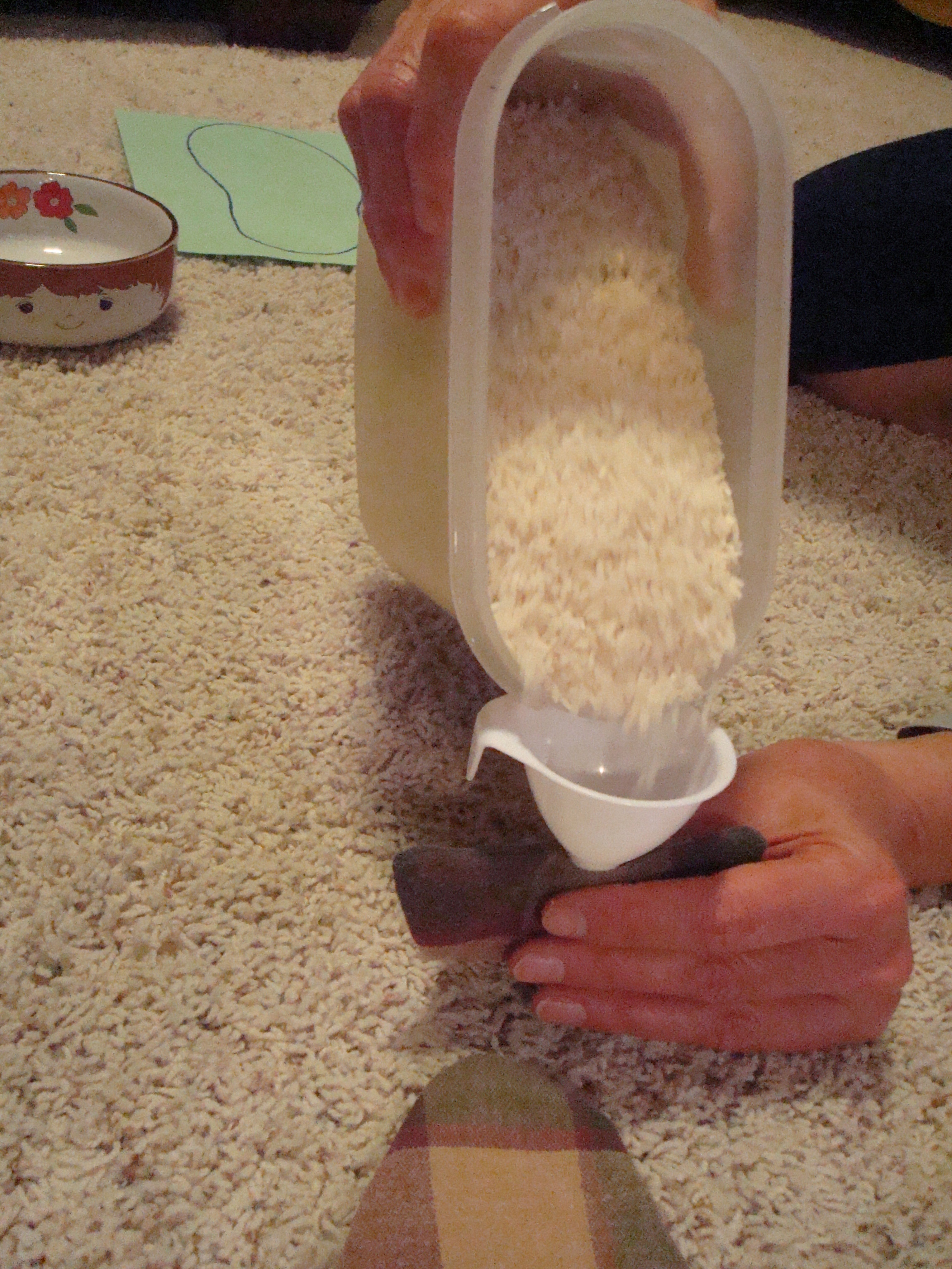 Roasty, Toasty Slipper Rice Inserts to Keep Your Tootsies Warm 5