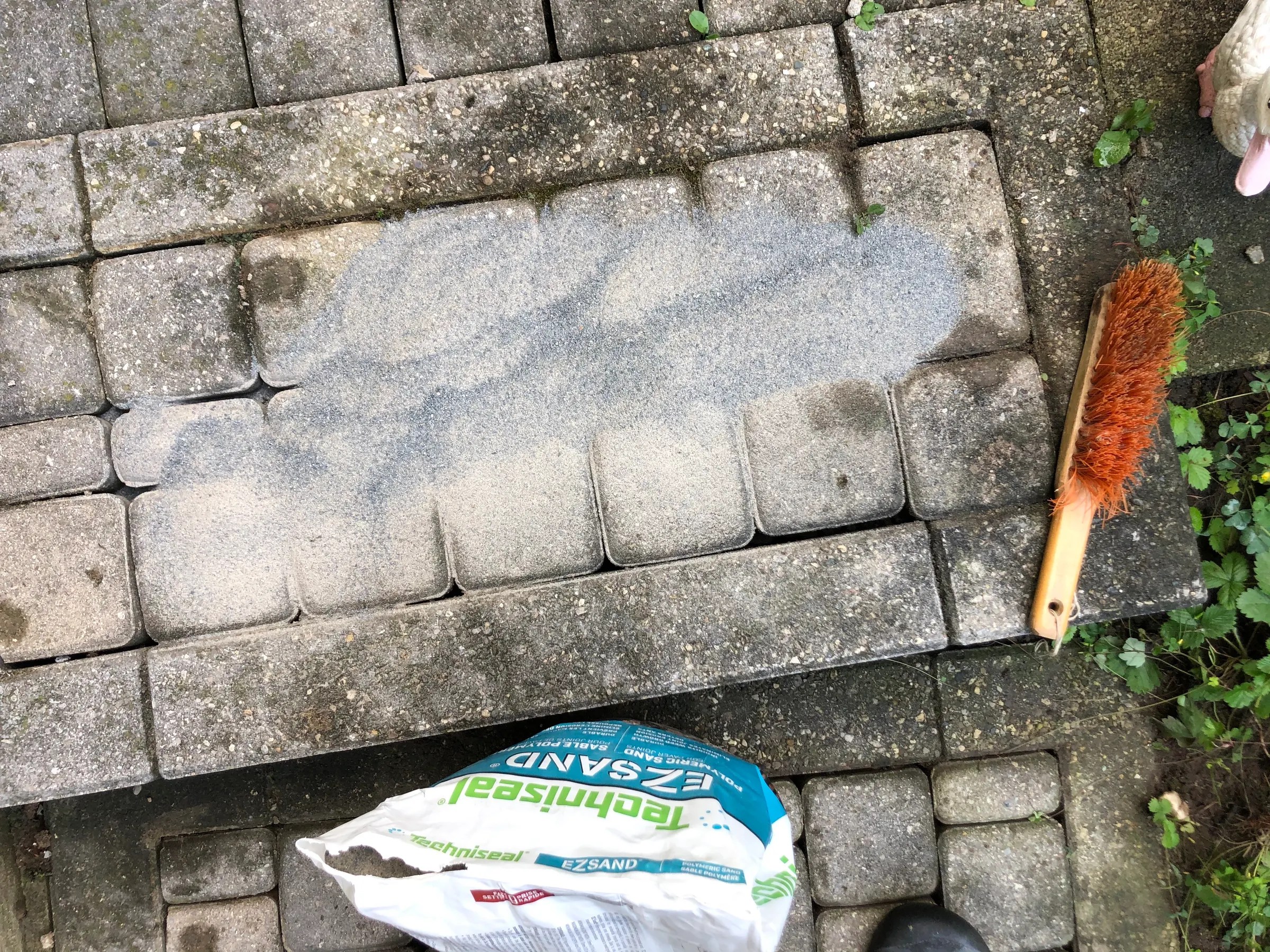 Repair Sunken Pavers 6 Steps (with Pictures) Instructables