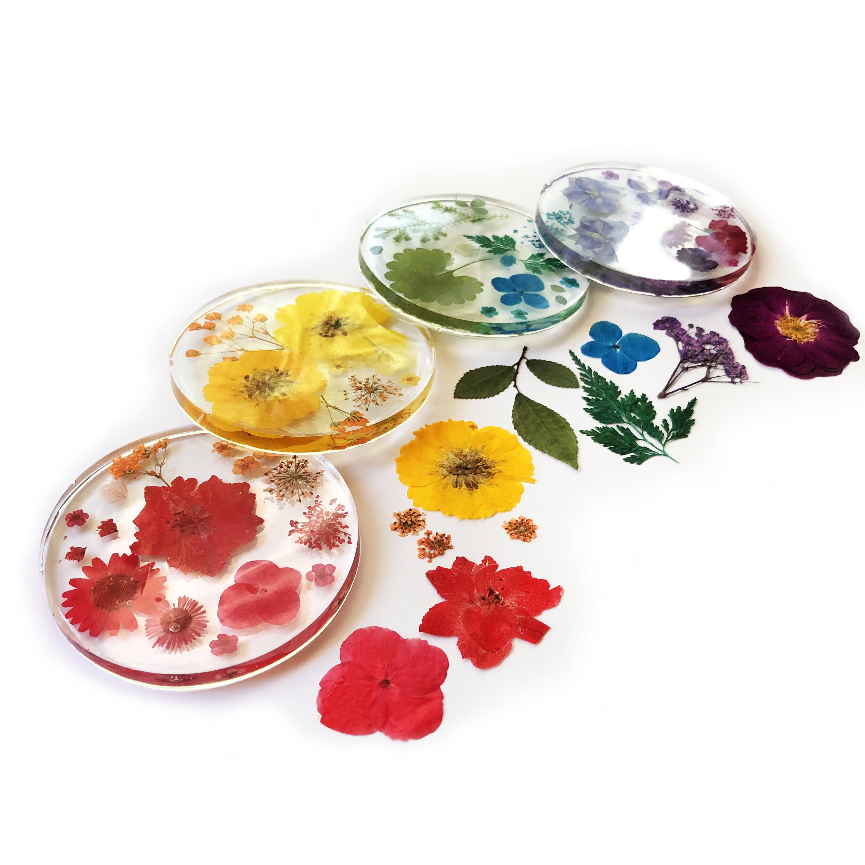 Ultimate Rainbow Dried Flowers & Resin Coaster Set 11 Steps (with