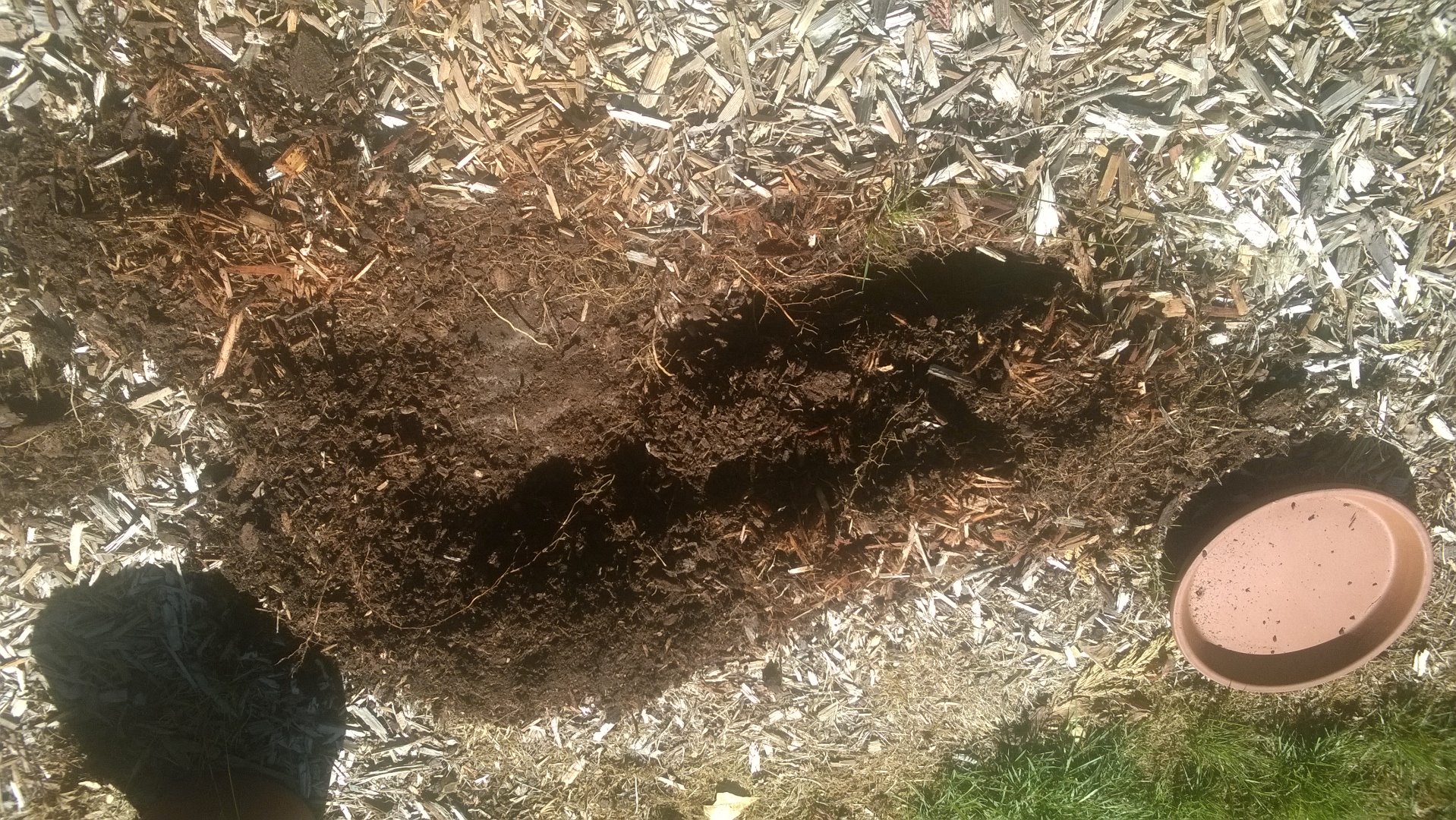 Bumble Bee Nest 4 Steps Instructables