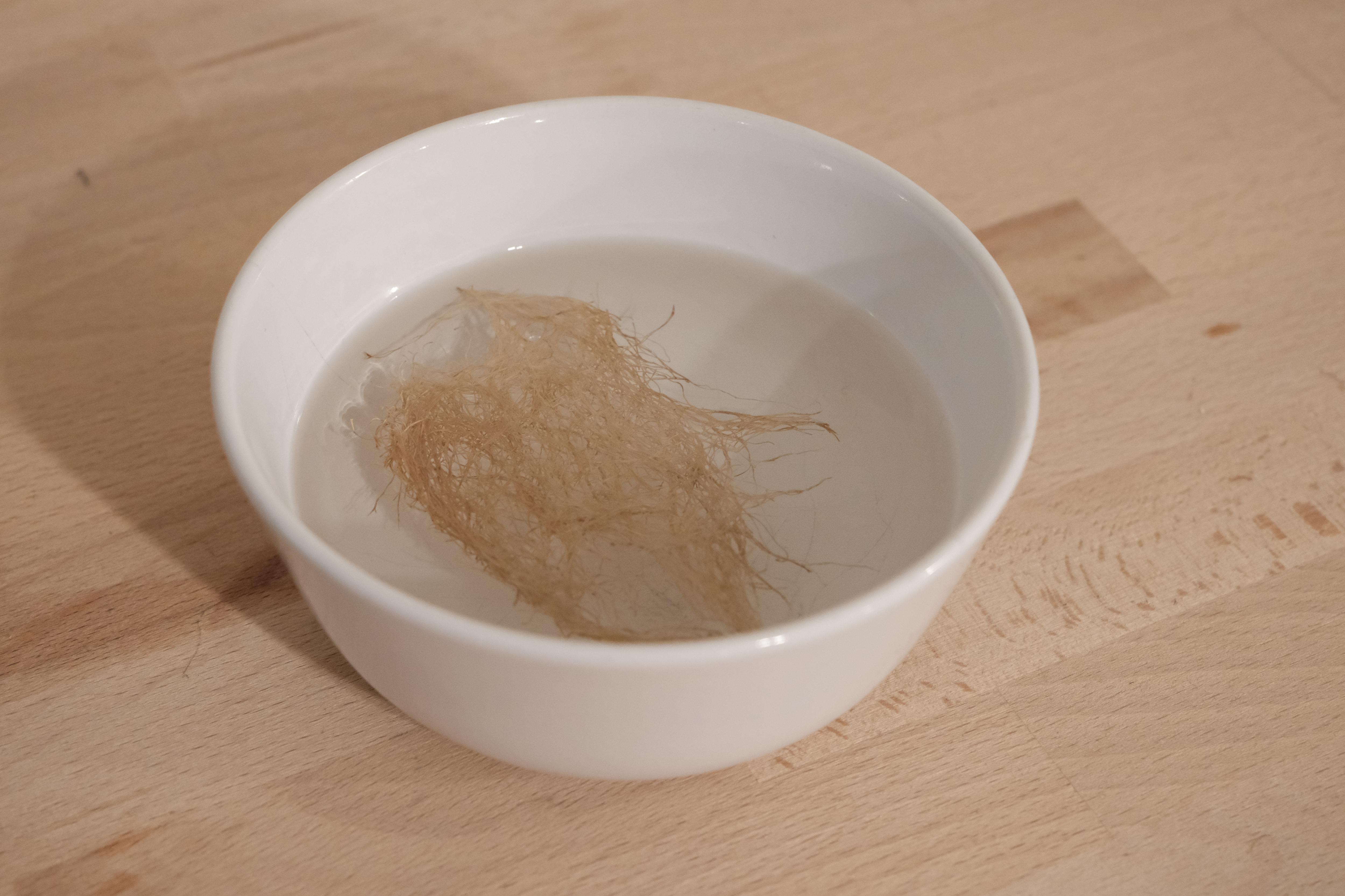 Make Wheatgrass Root Mats 6 Steps (with Pictures) Instructables