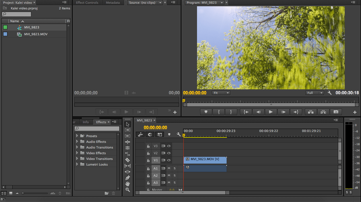 Easy Adobe Premiere Kaleidoscope Effect 5 Steps Instructables