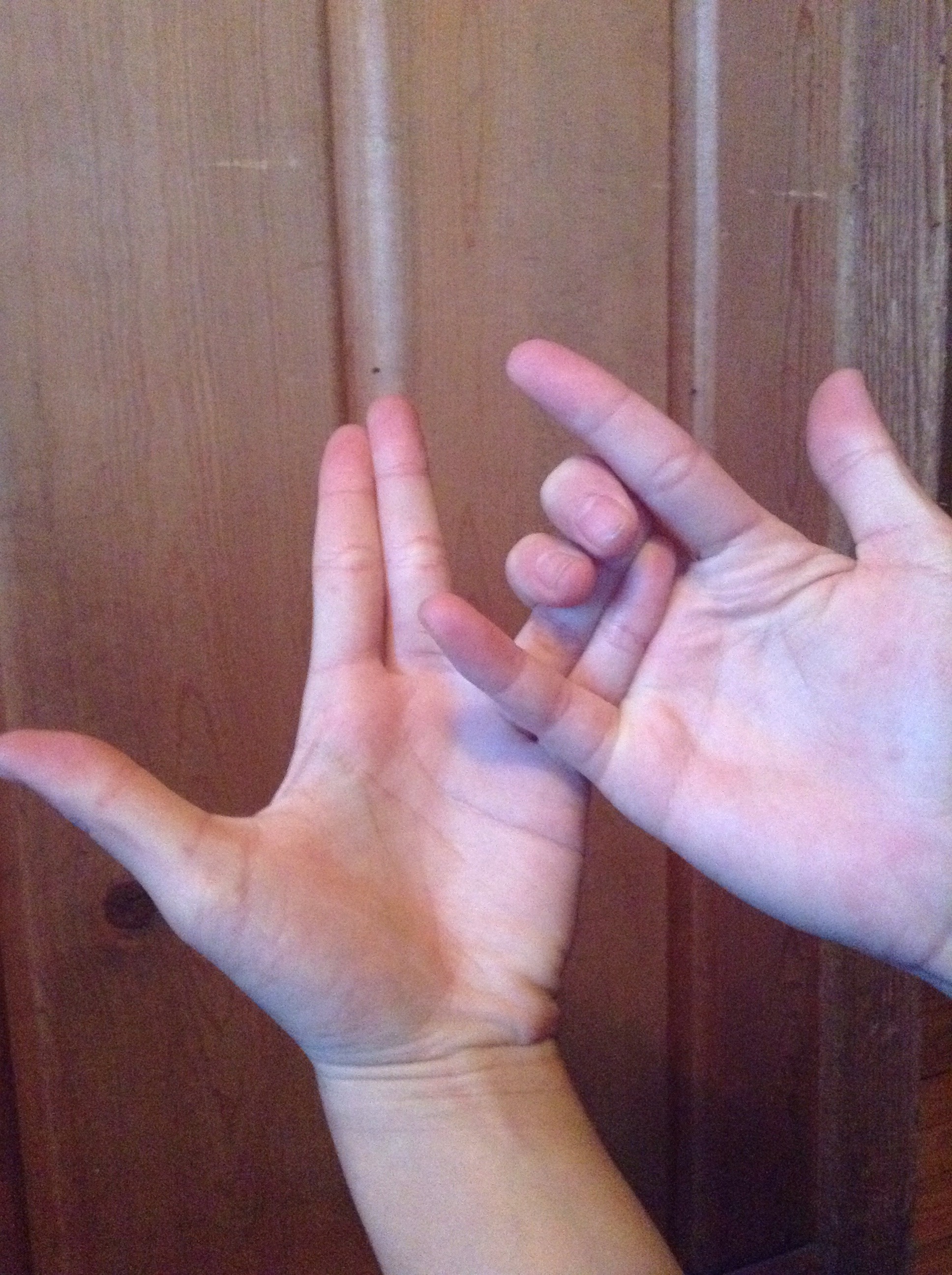 Snake Hands! 9 Steps Instructables