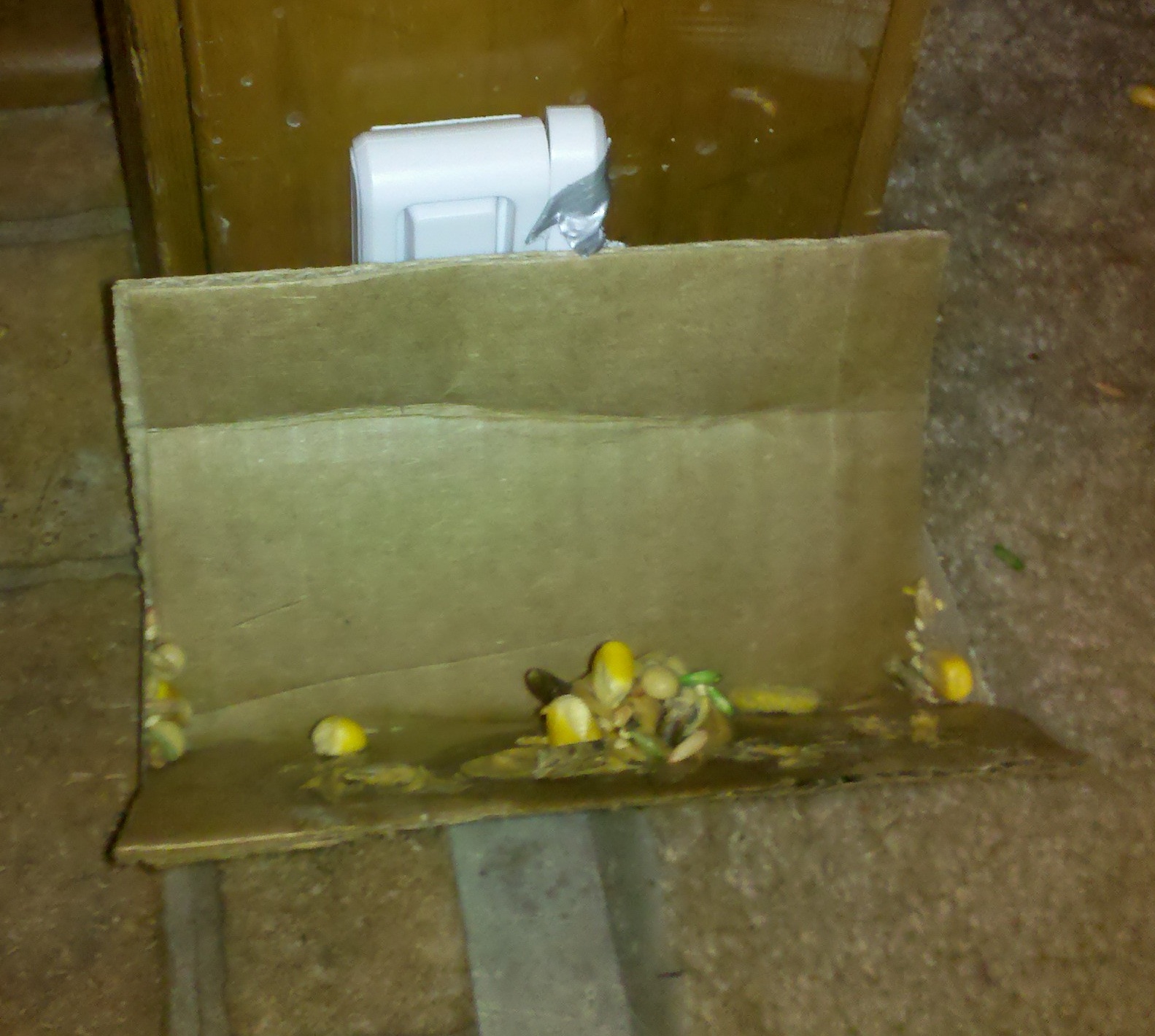 The Lost Hamster Alarm System 6 Steps (with Pictures) Instructables