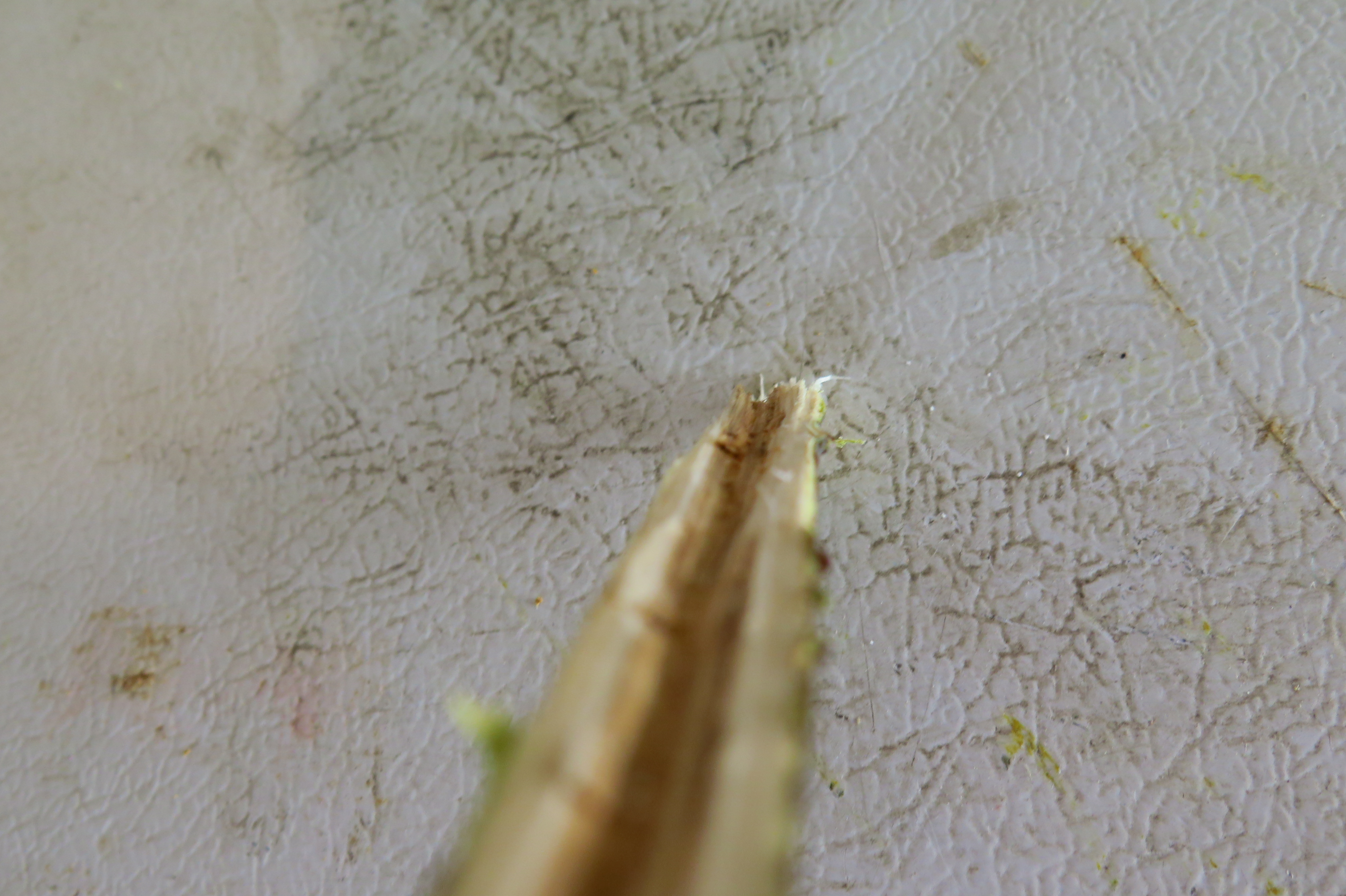 Awesome Tree Branch Pipe 9 Steps Instructables