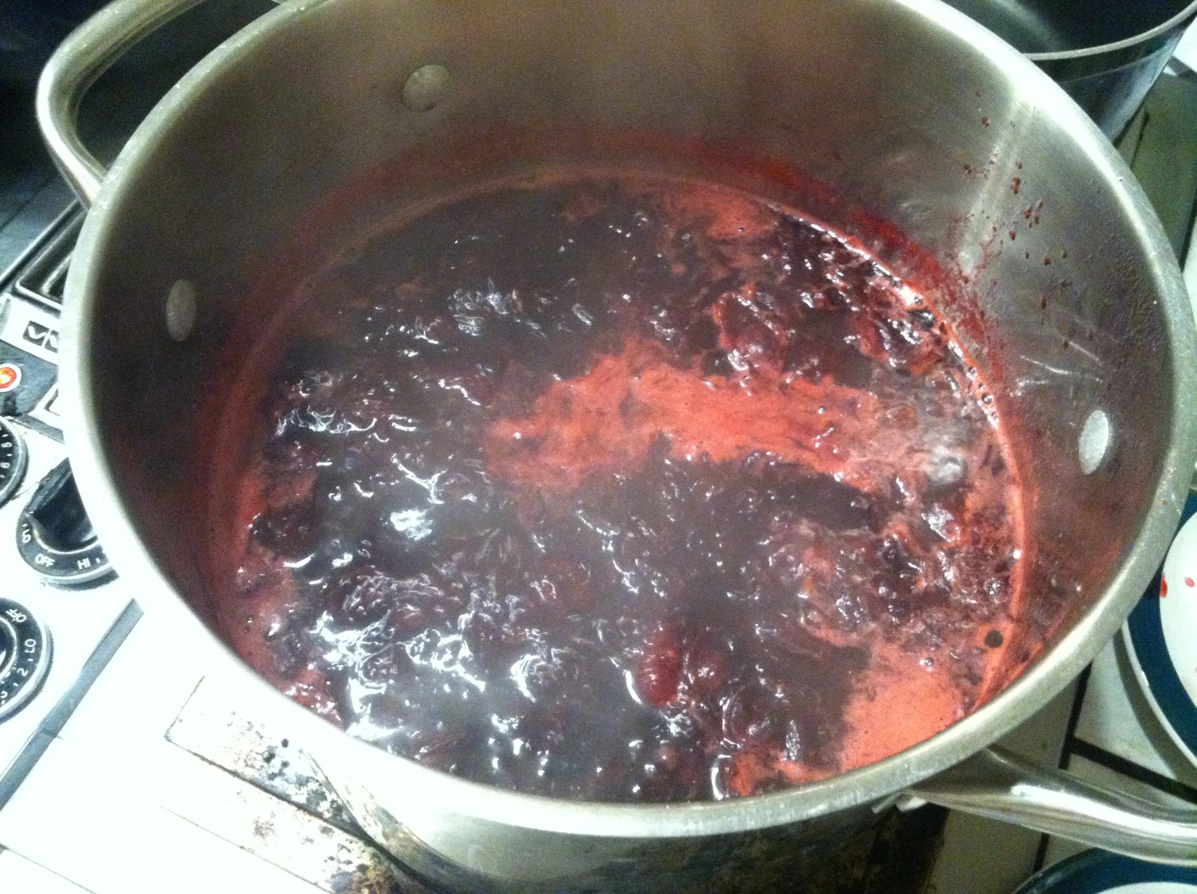 Roselle Syrup for Drinks! 5 Steps (with Pictures) Instructables