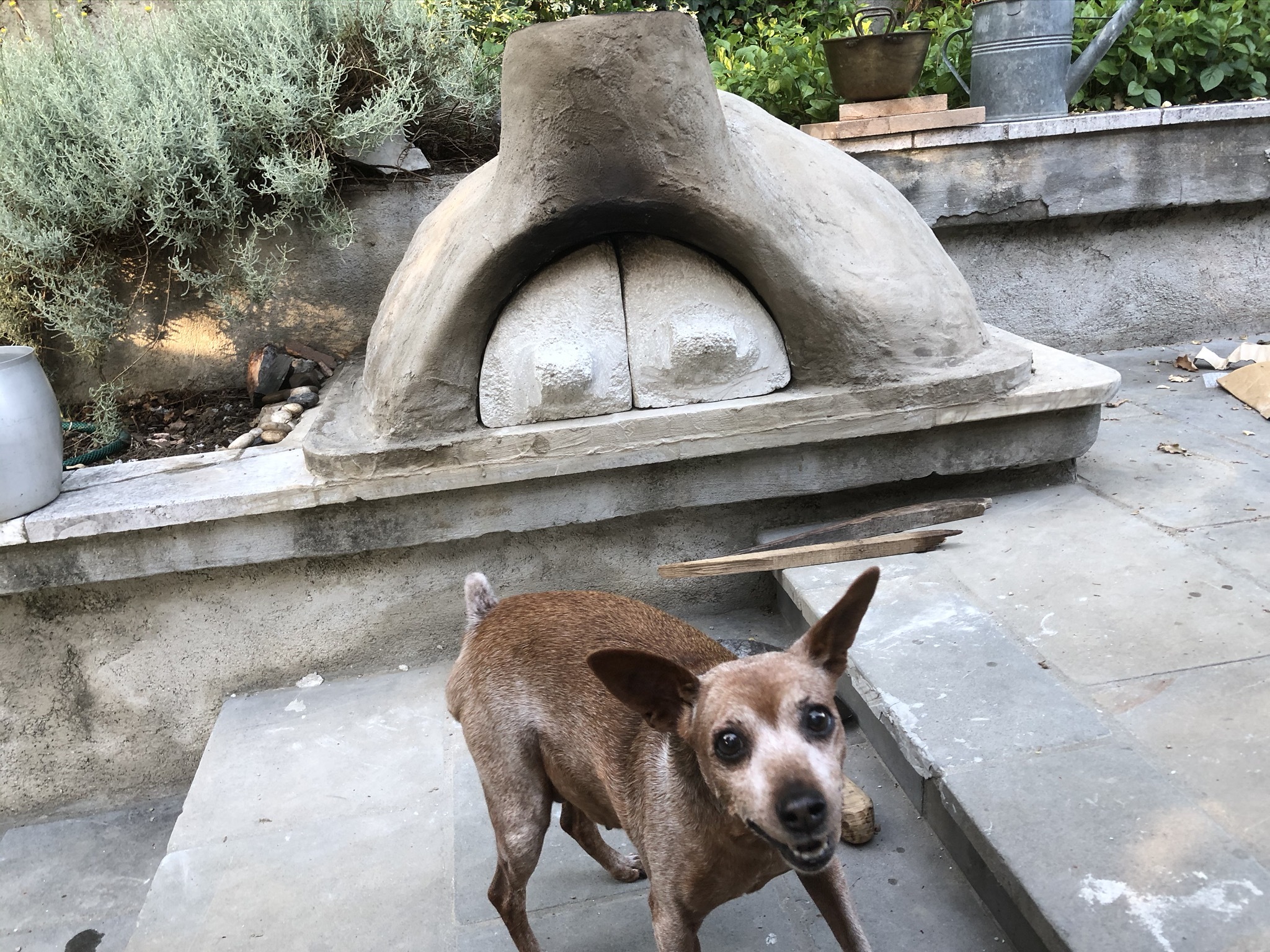 Perlite Traditional Pizza Oven 12 Steps (with Pictures) Instructables