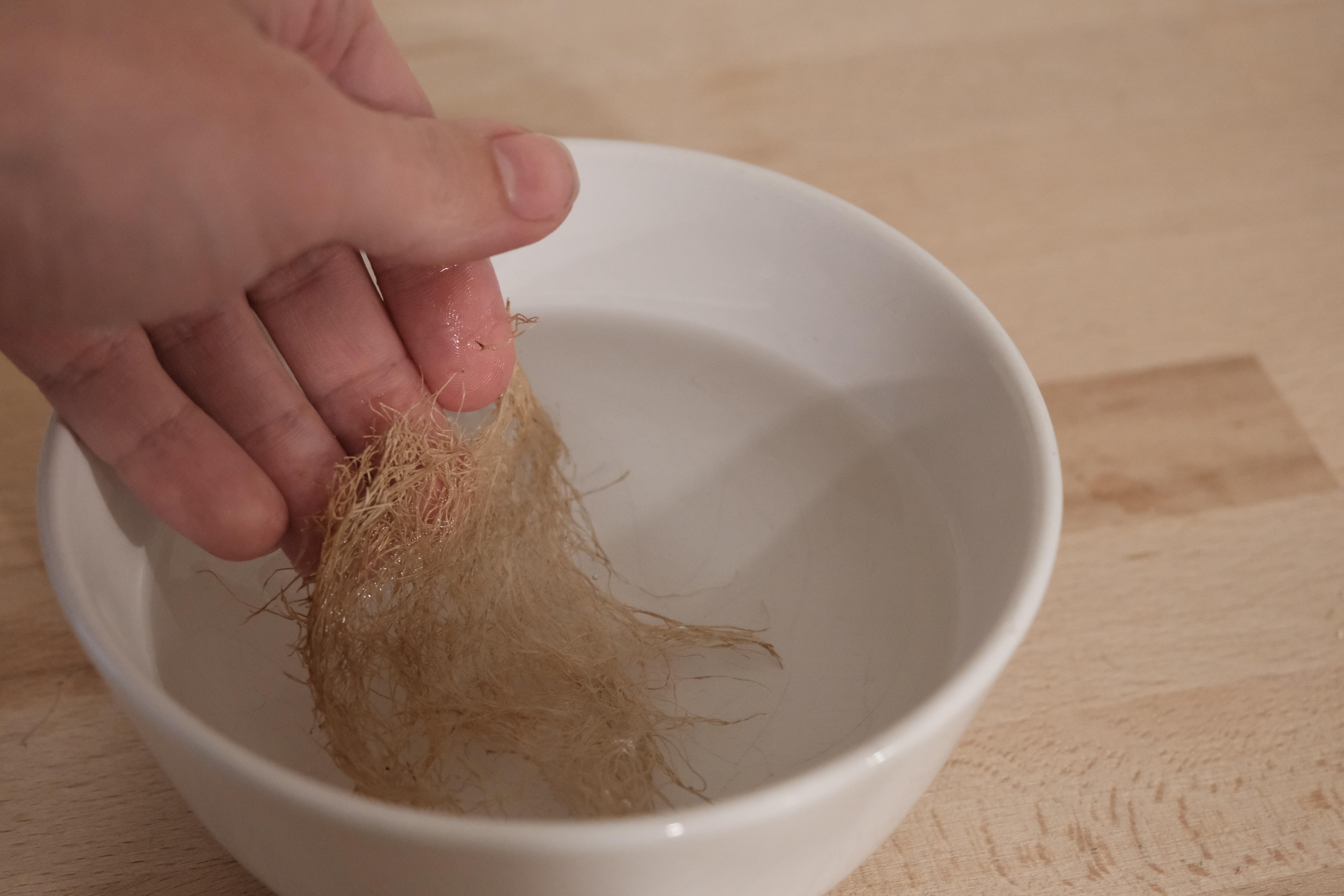 Make Wheatgrass Root Mats 6 Steps (with Pictures) Instructables