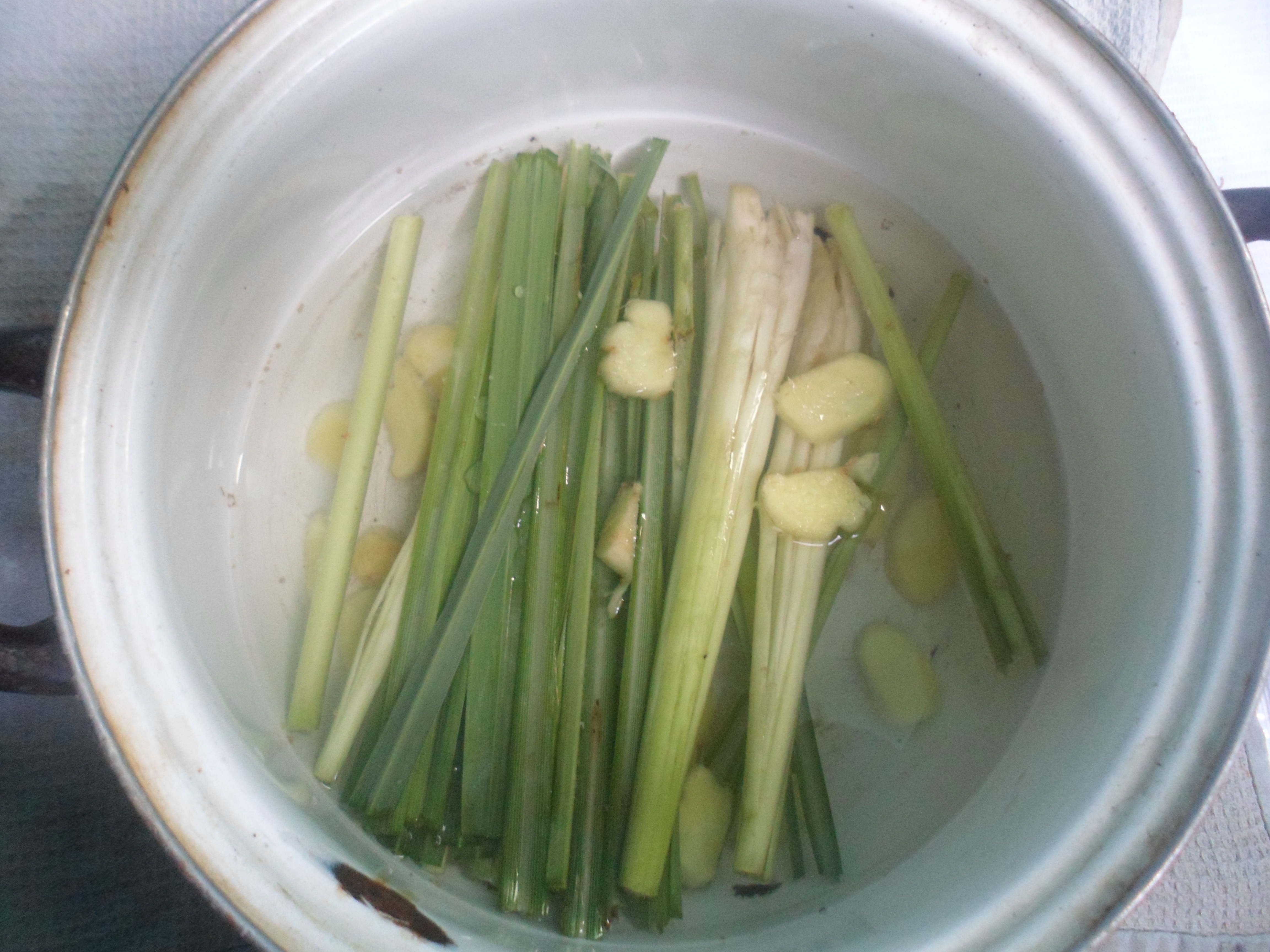 Easy LemongrassGinger Juice (with Pictures) Instructables