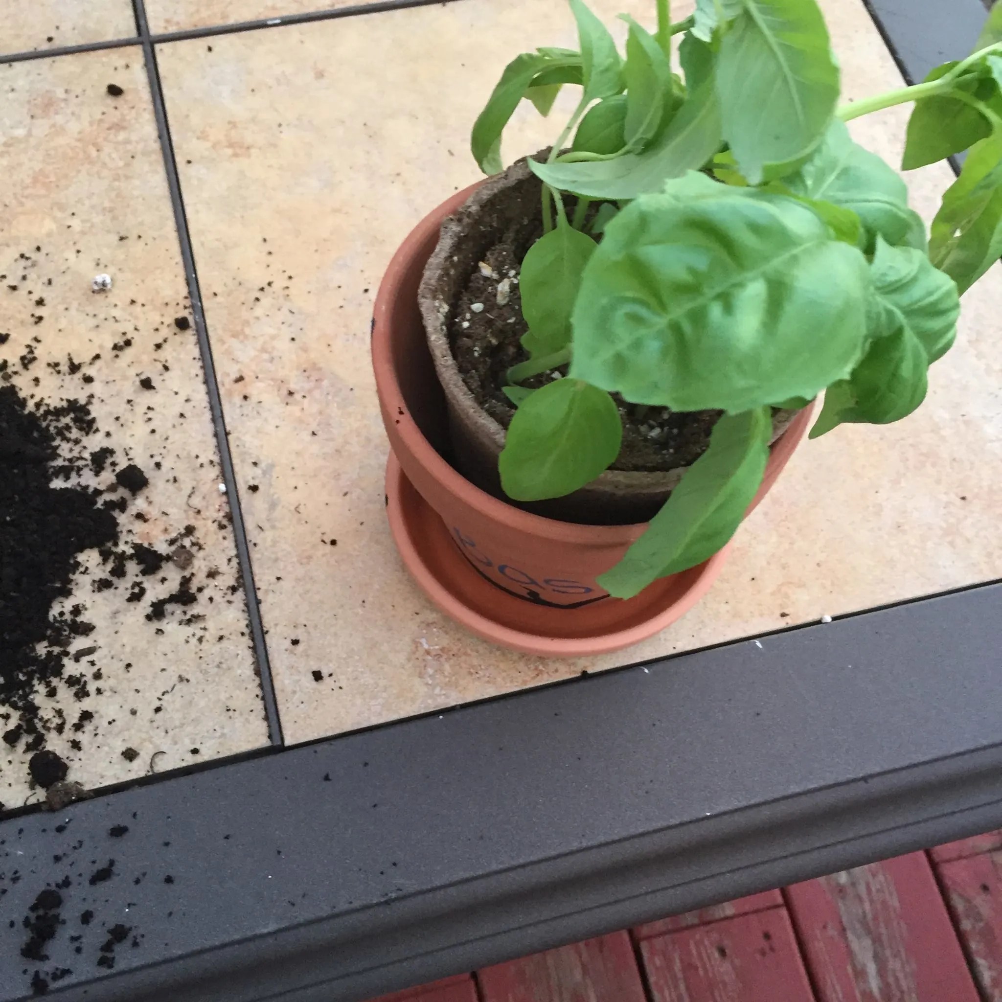 Pots and Planting Herbs for Beginners 5 Steps Instructables