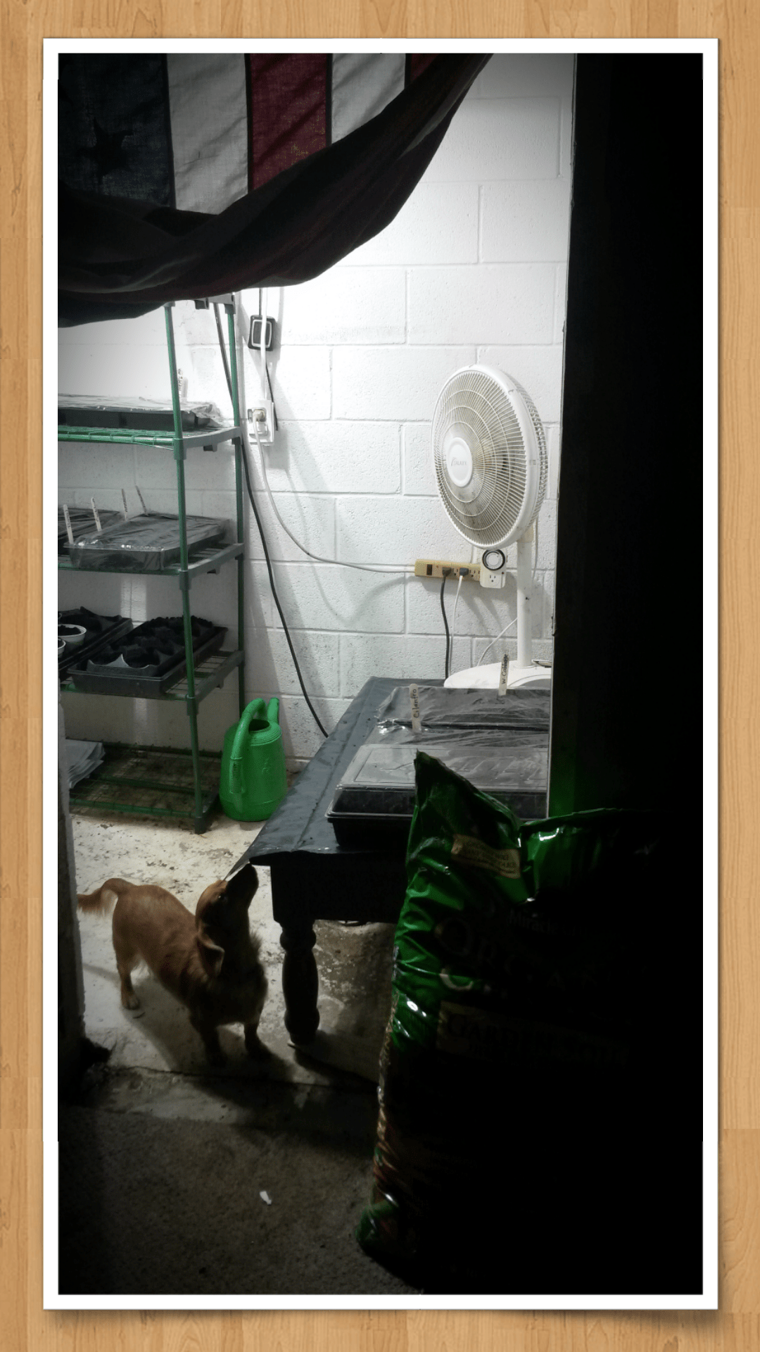 Turning a Well Room Into a Year Round Growroom 10 Steps Instructables