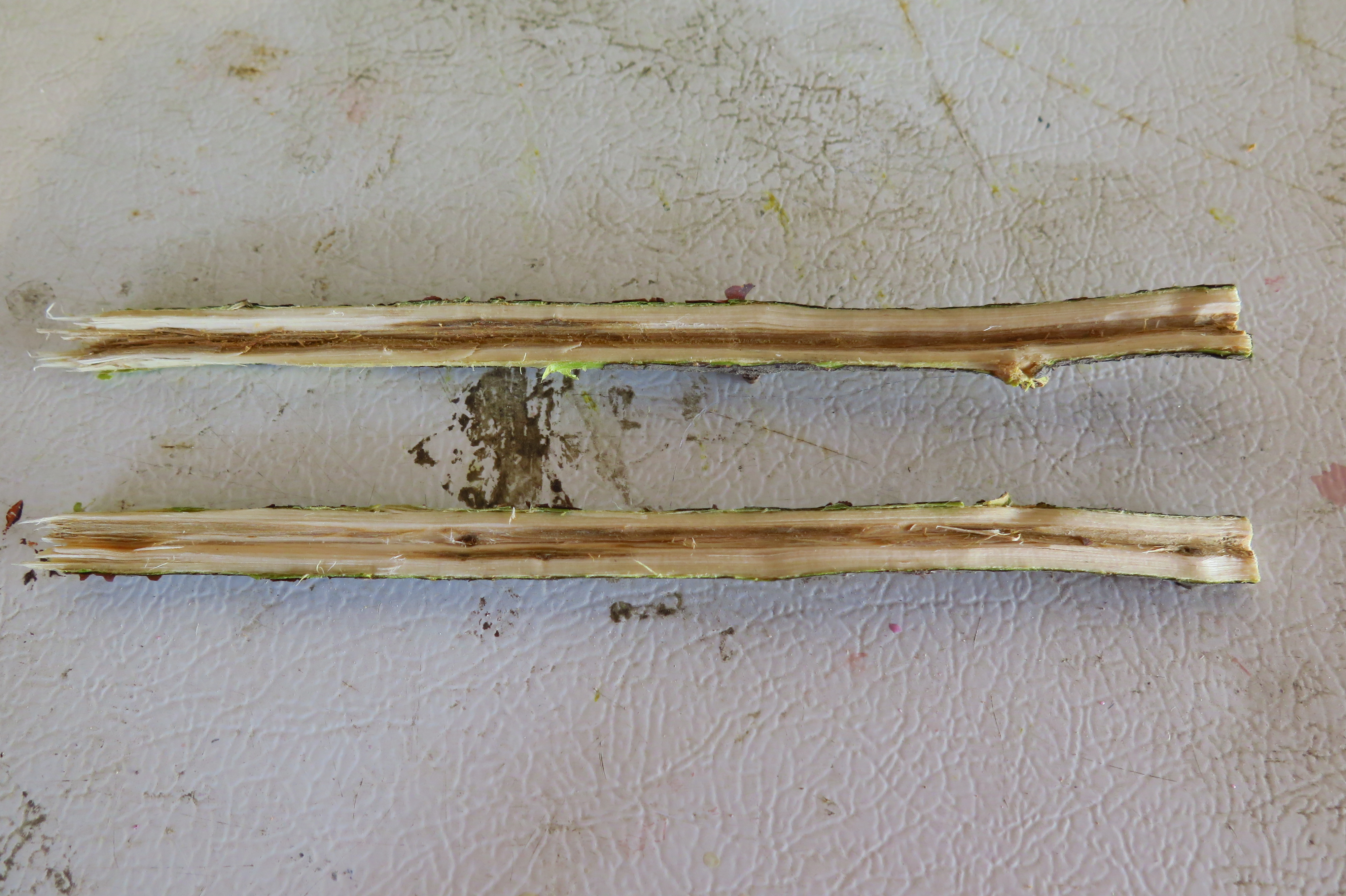 Awesome Tree Branch Pipe 9 Steps Instructables