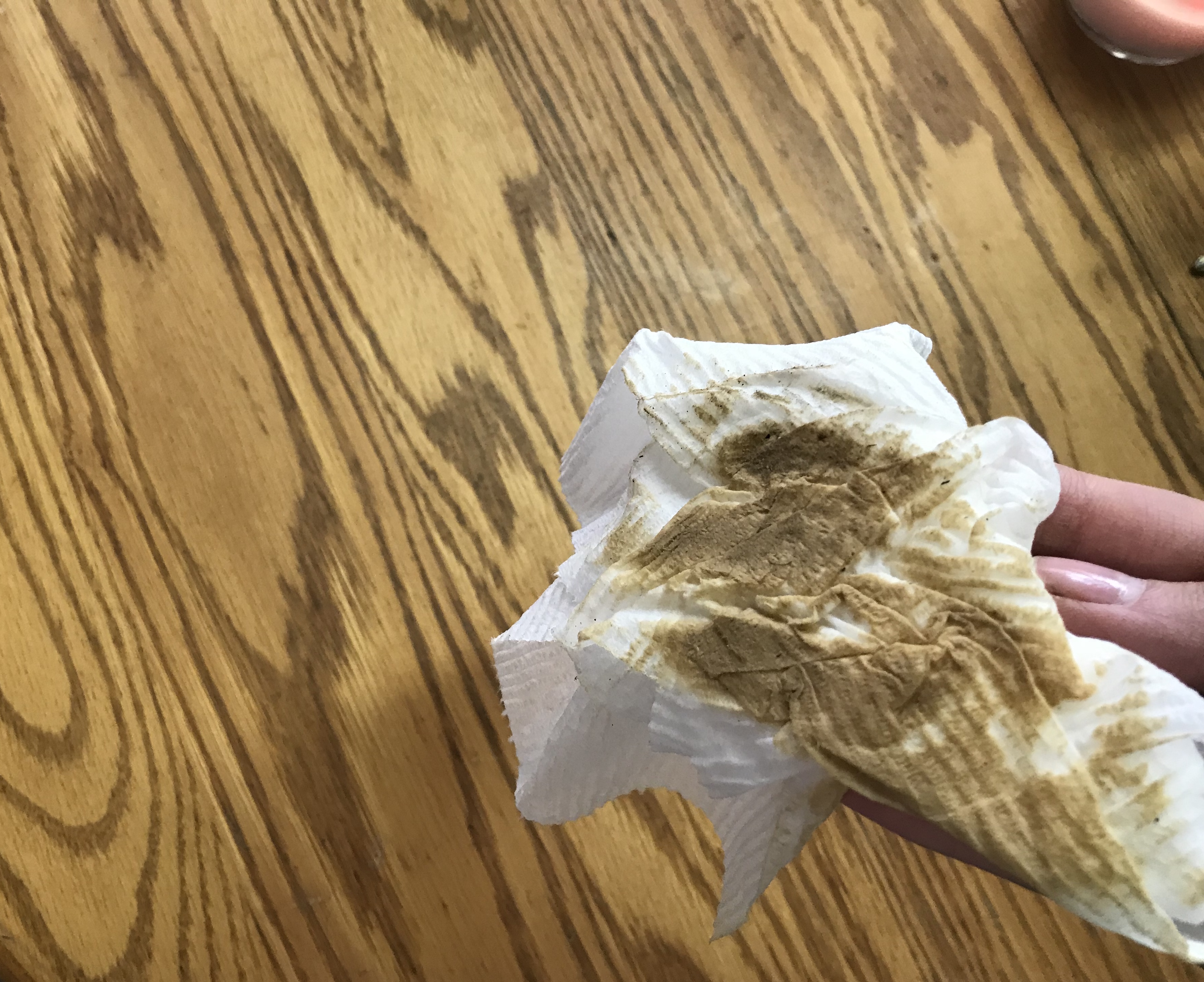 Children and Pet Safe Window Cleaner 5 Steps Instructables